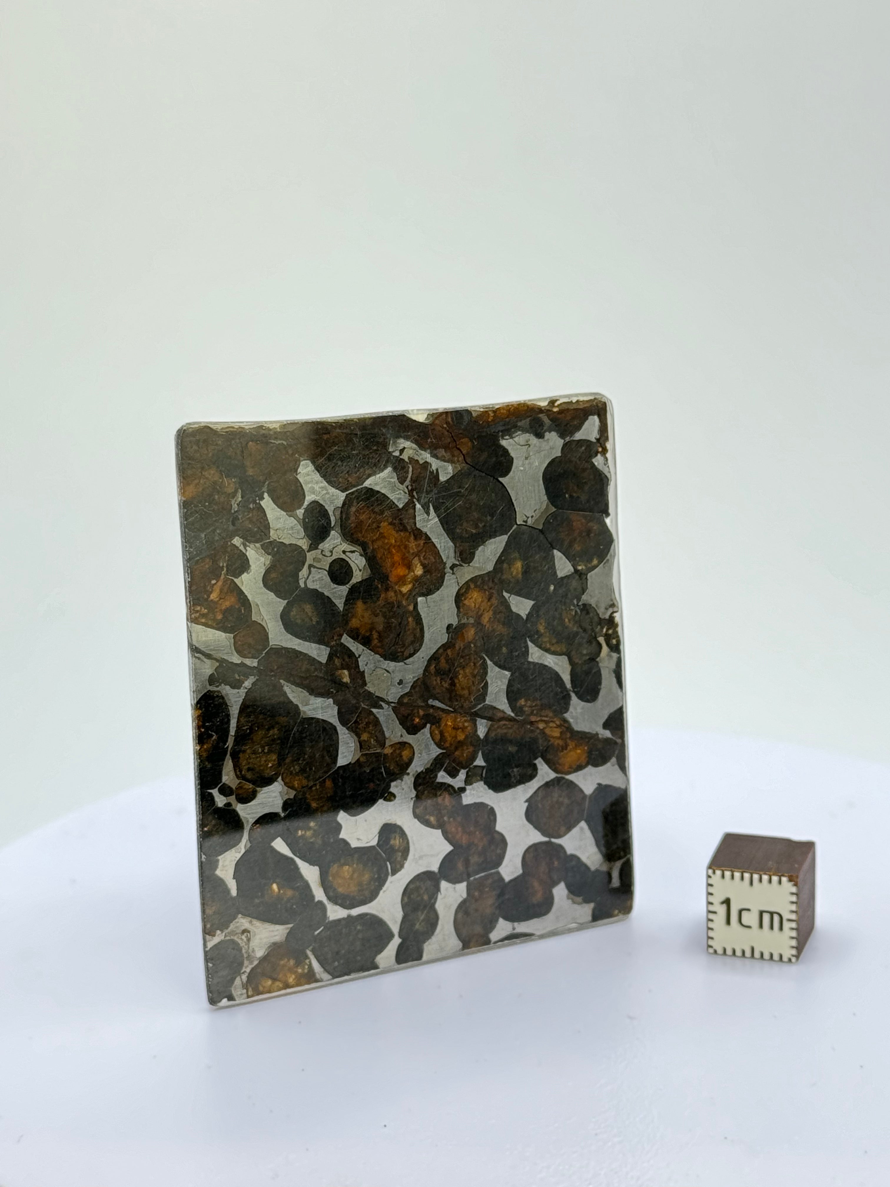 Sericho Meteorite, Kenya. 18,64 grams.
