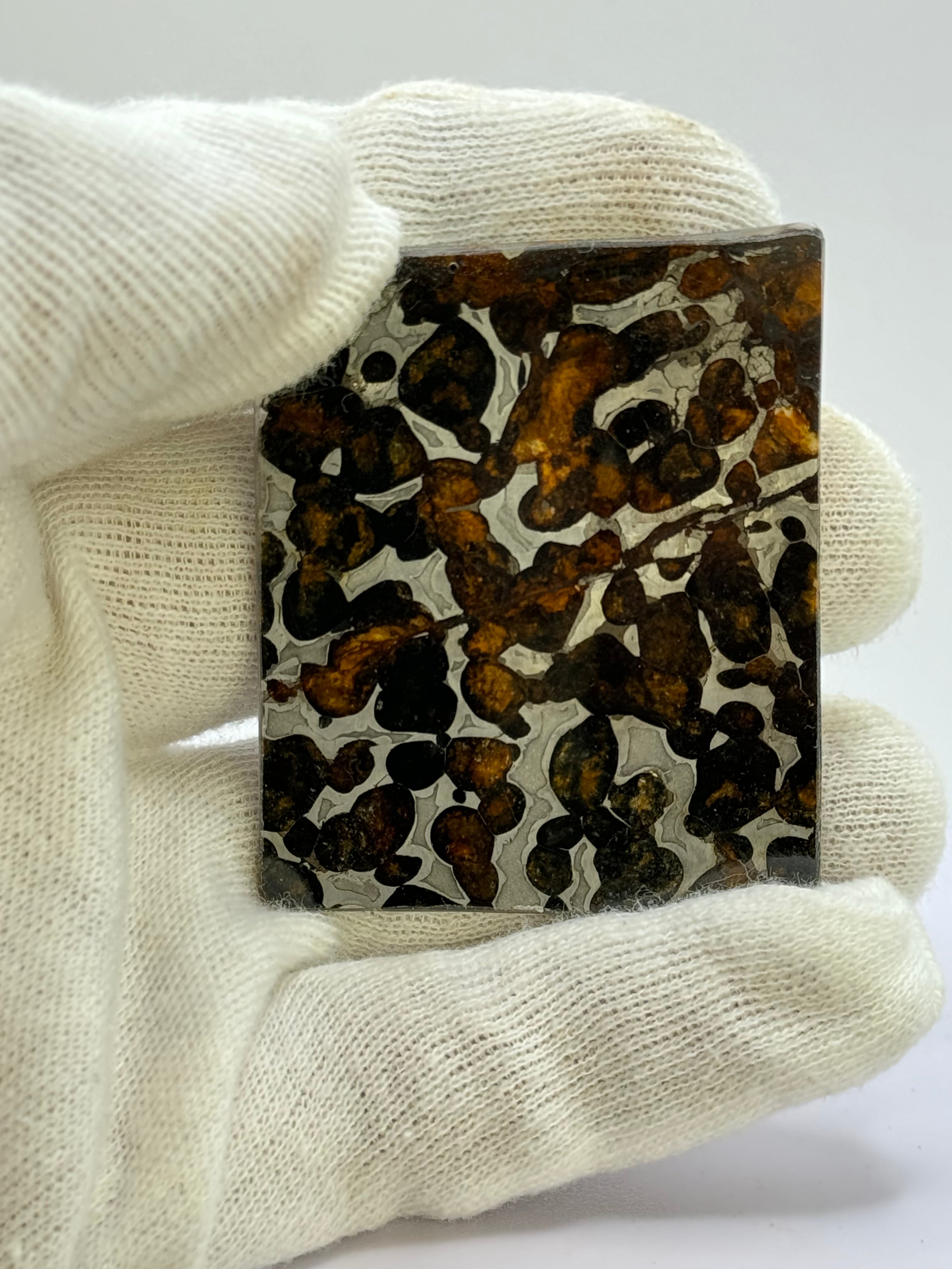 Sericho Meteorite, Kenya. 18,64 grams.