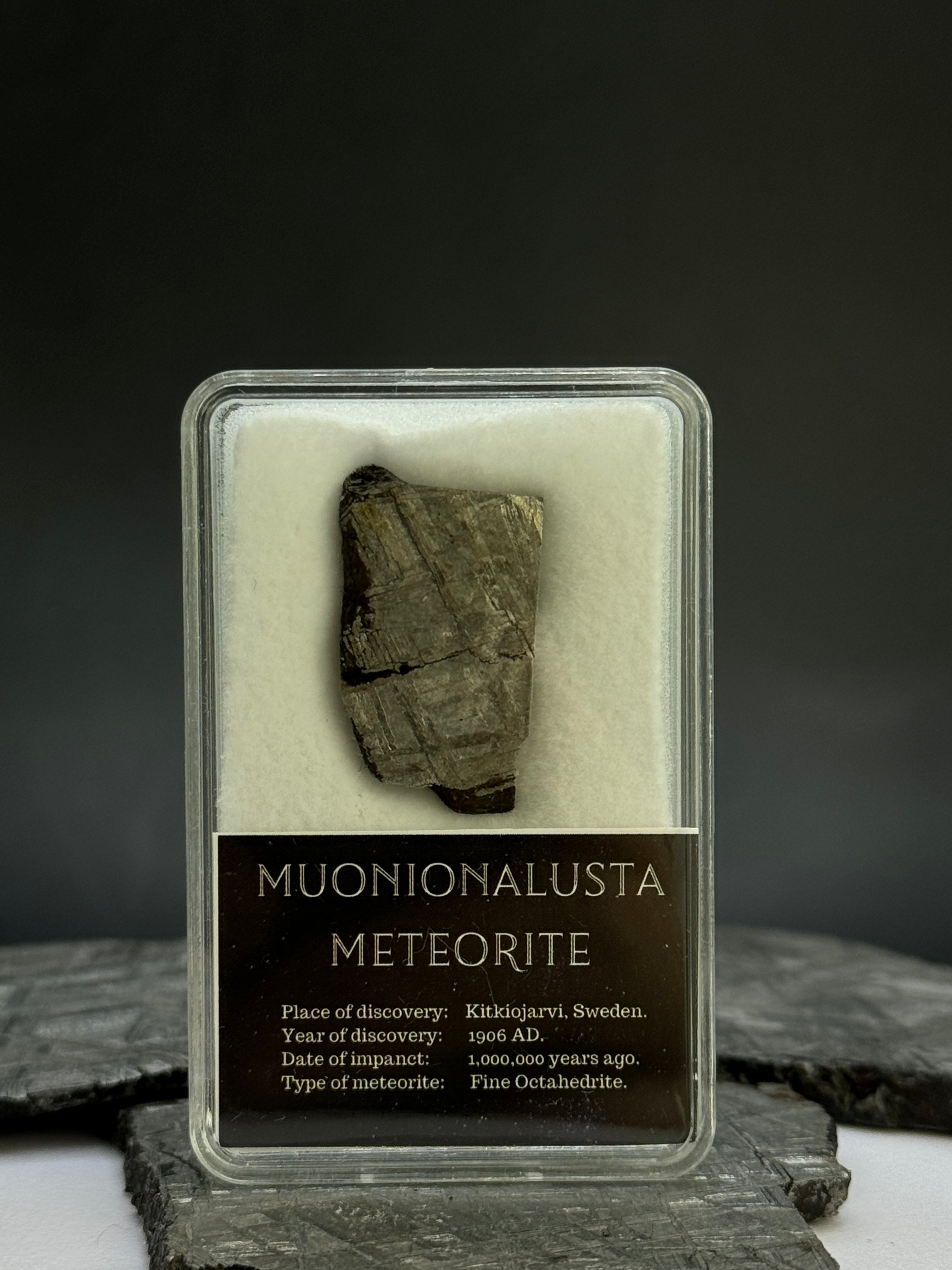 Muonionalusta meteorite in display box. 8,19 grams.