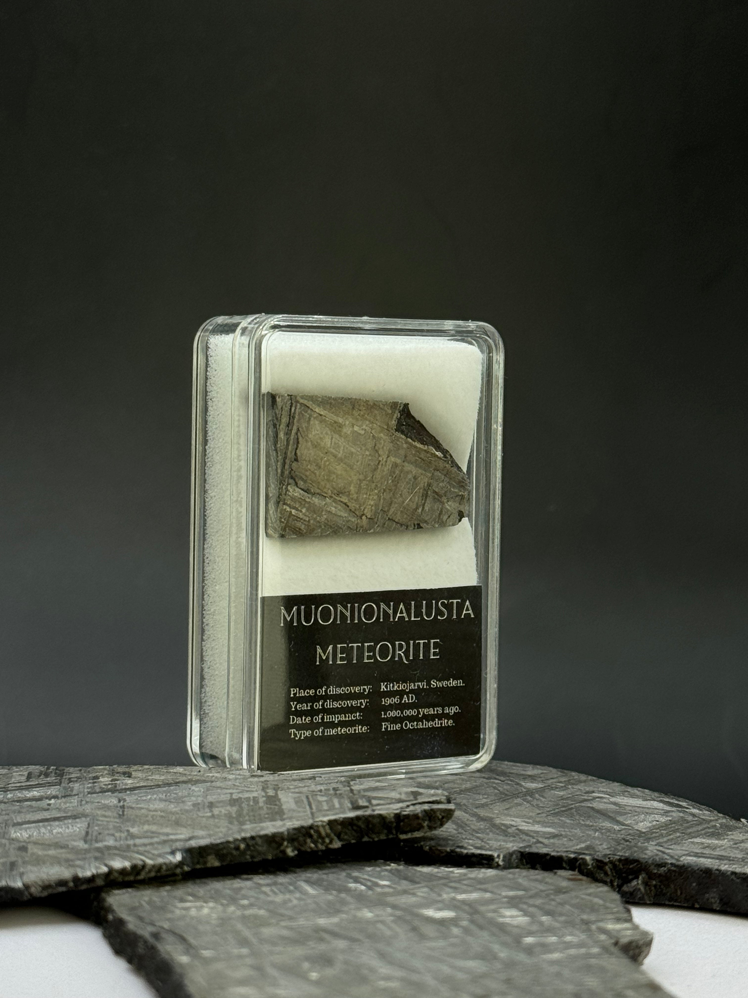 Muonionalusta meteorite in display box. 12,42 grams.
