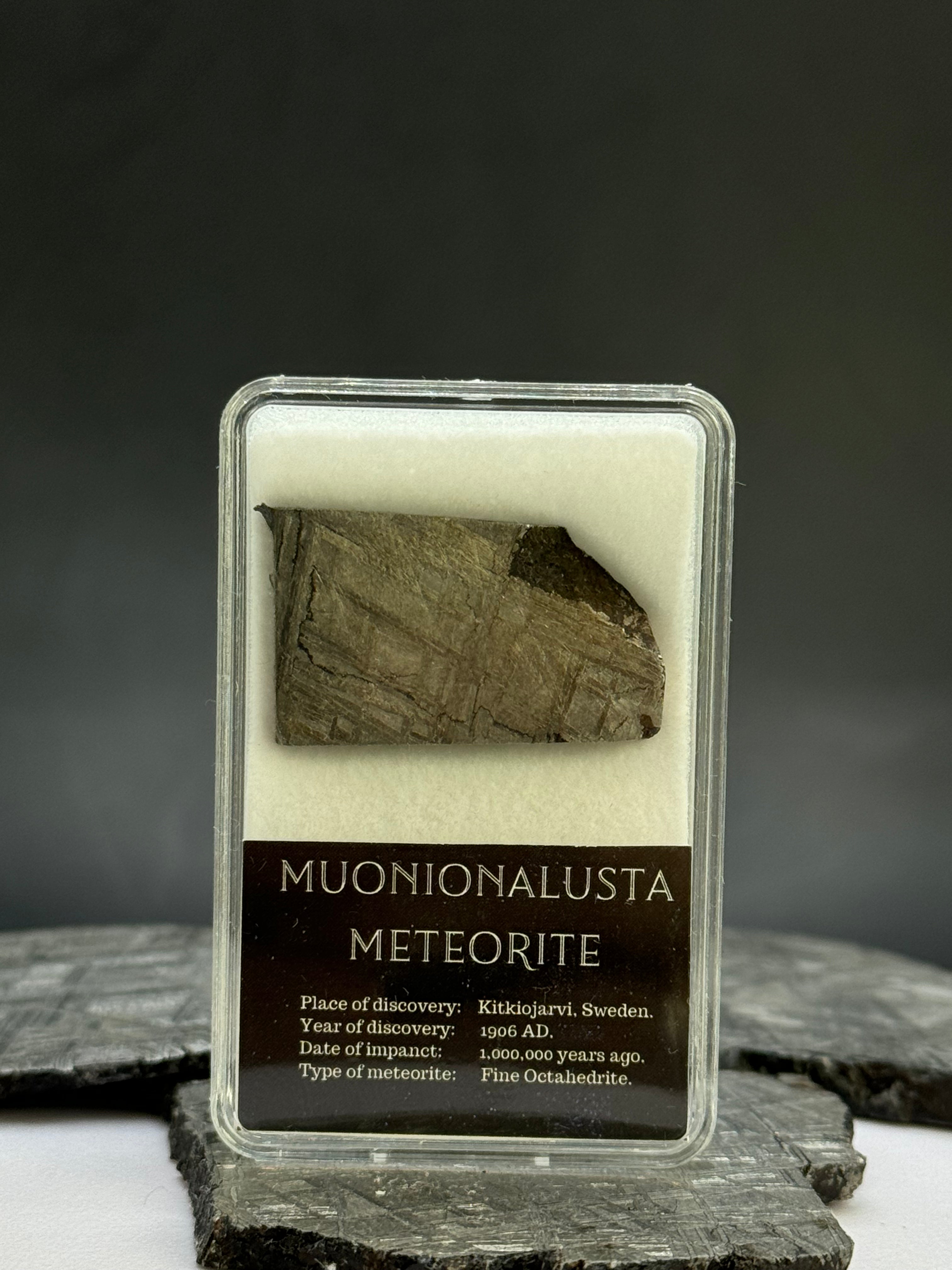 Muonionalusta meteorite in display box. 12,42 grams.
