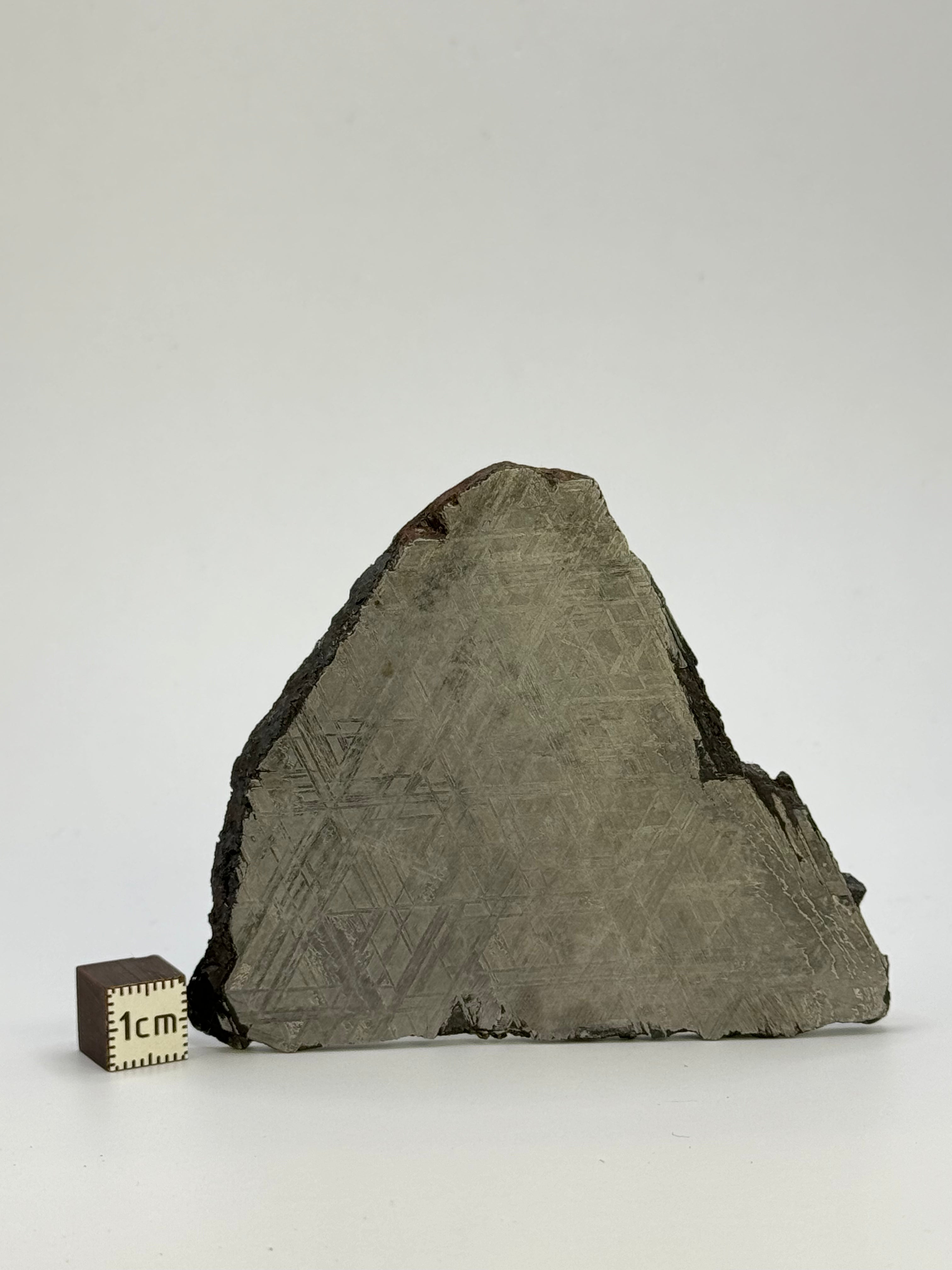 Muonionalusta meteorite, Sweden. 115,8 grams.
