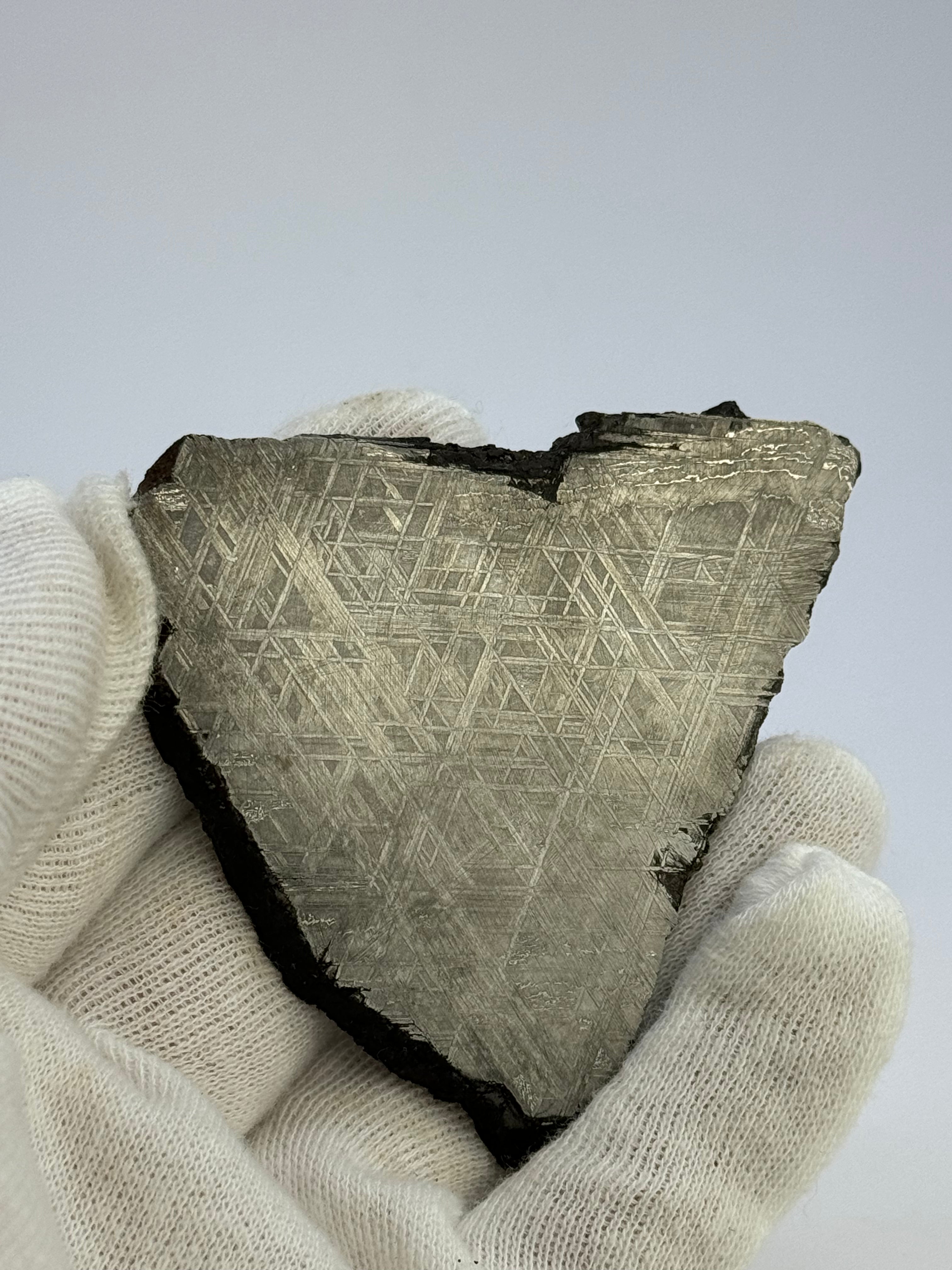 Muonionalusta meteorite, Sweden. 115,8 grams.