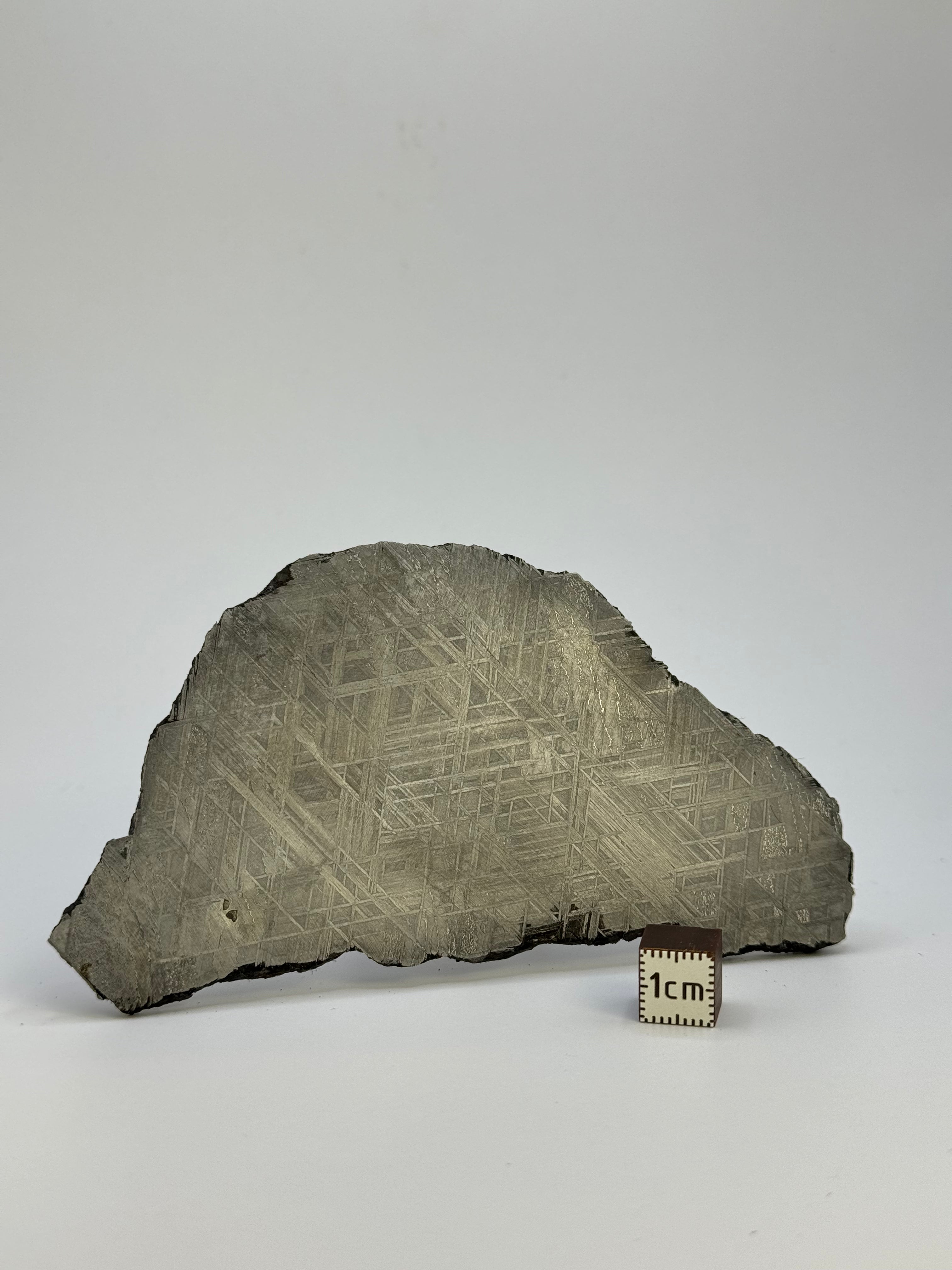Muonionalusta meteorite, Sweden. 134,8 grams.