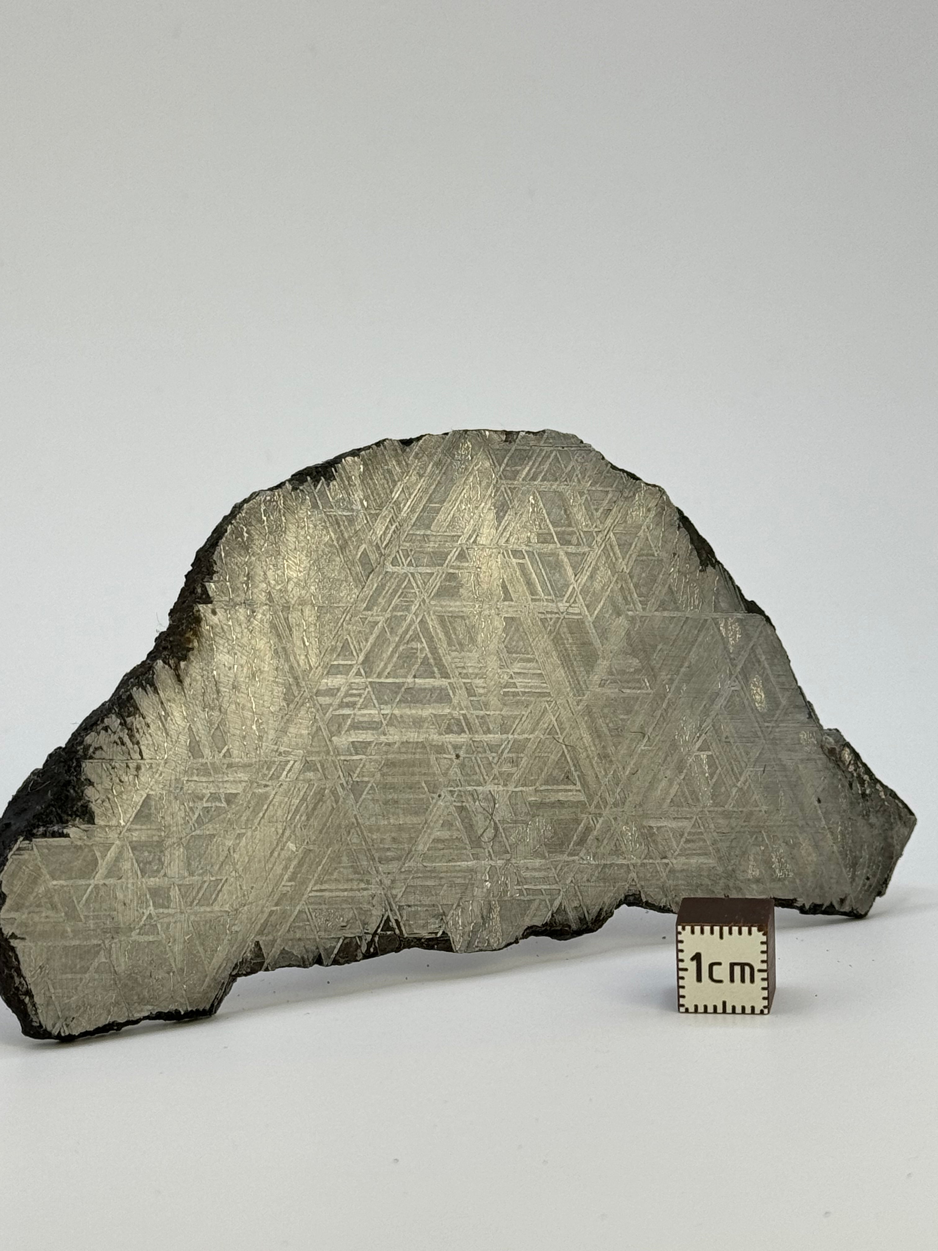 Muonionalusta meteorite, Sweden. 134,8 grams.