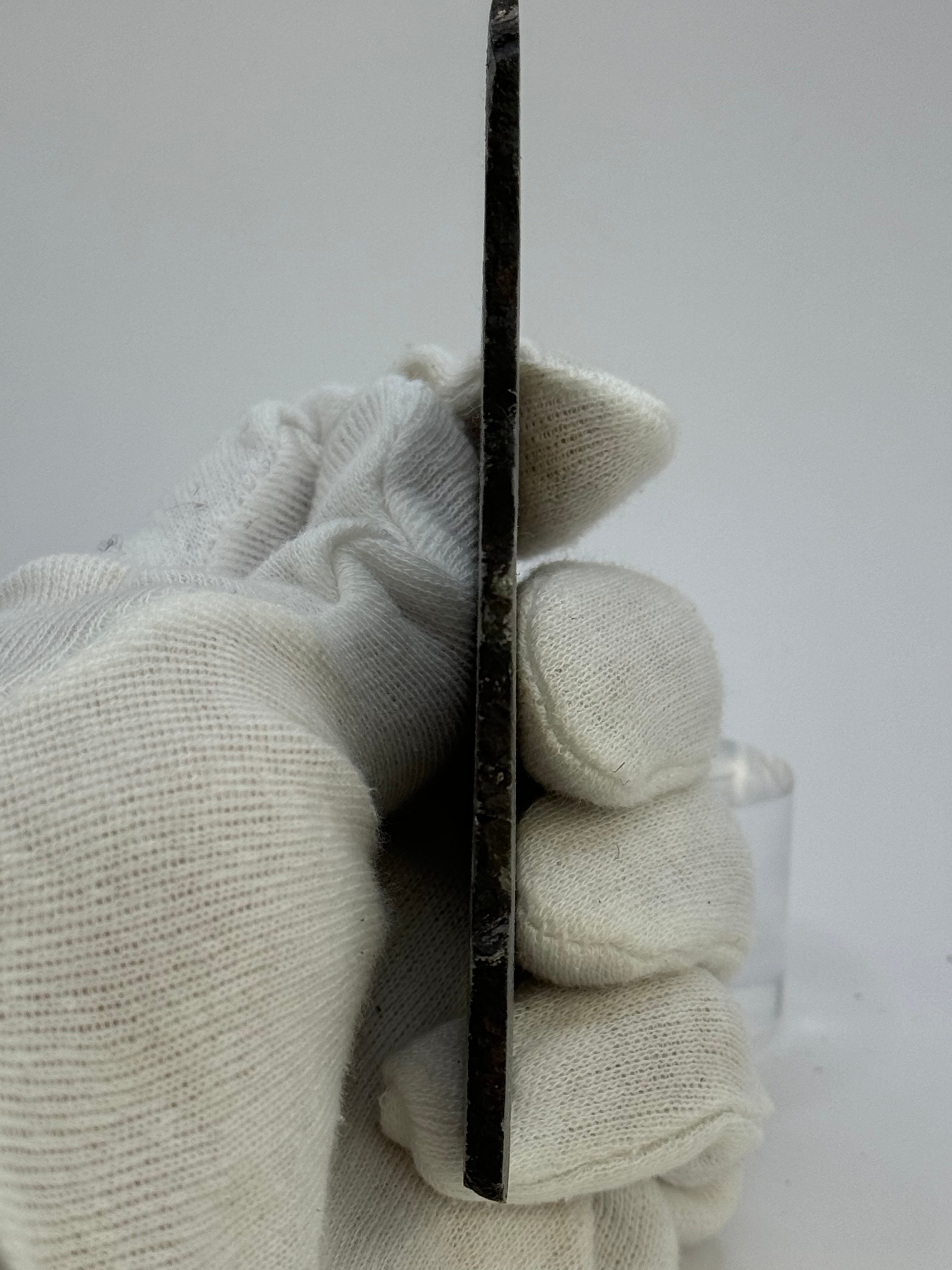 Muonionalusta meteorite, Sweden. 134,8 grams.