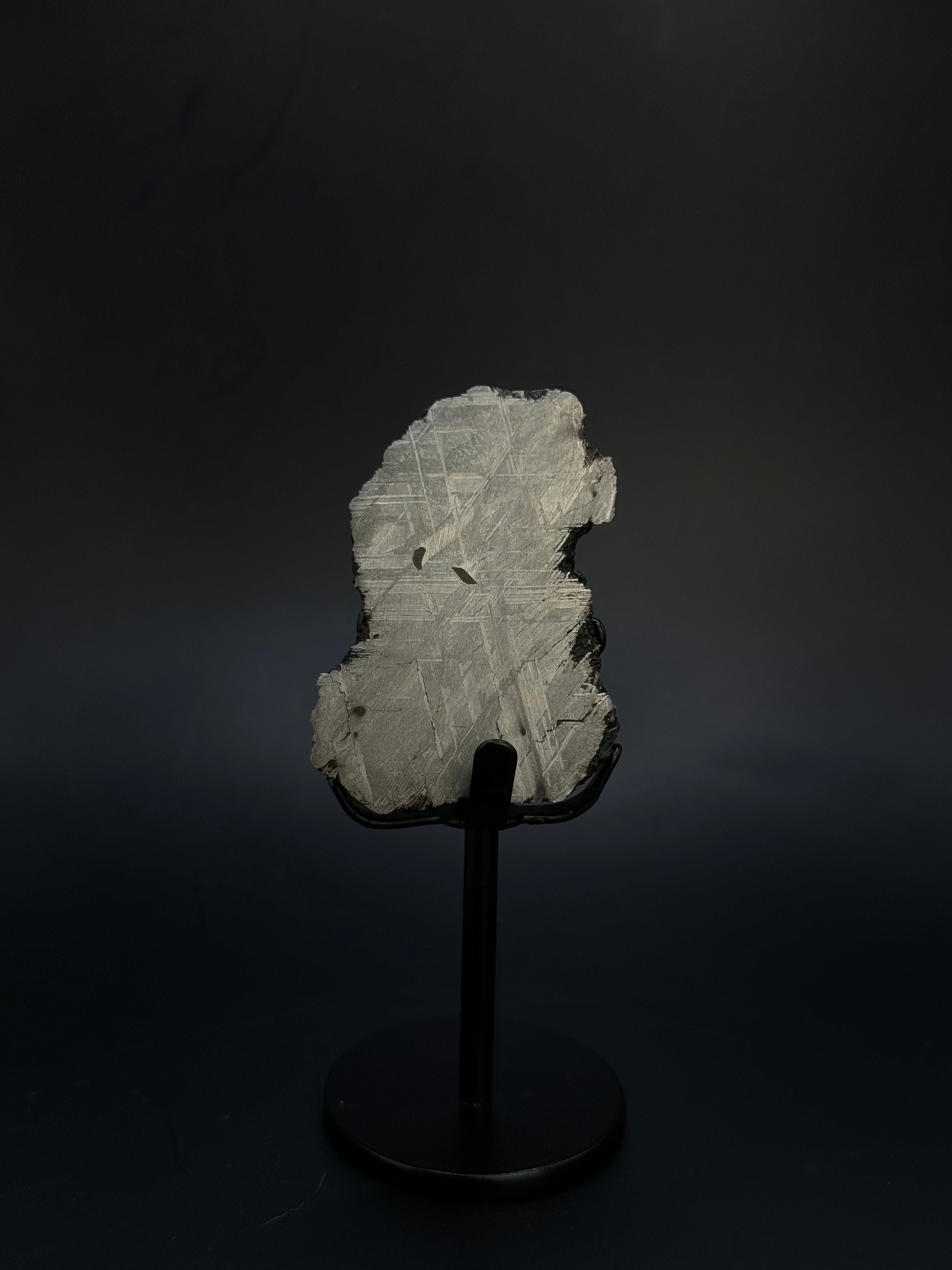 Muonionalusta meteorite, Sweden. 153,8 grams End-cut