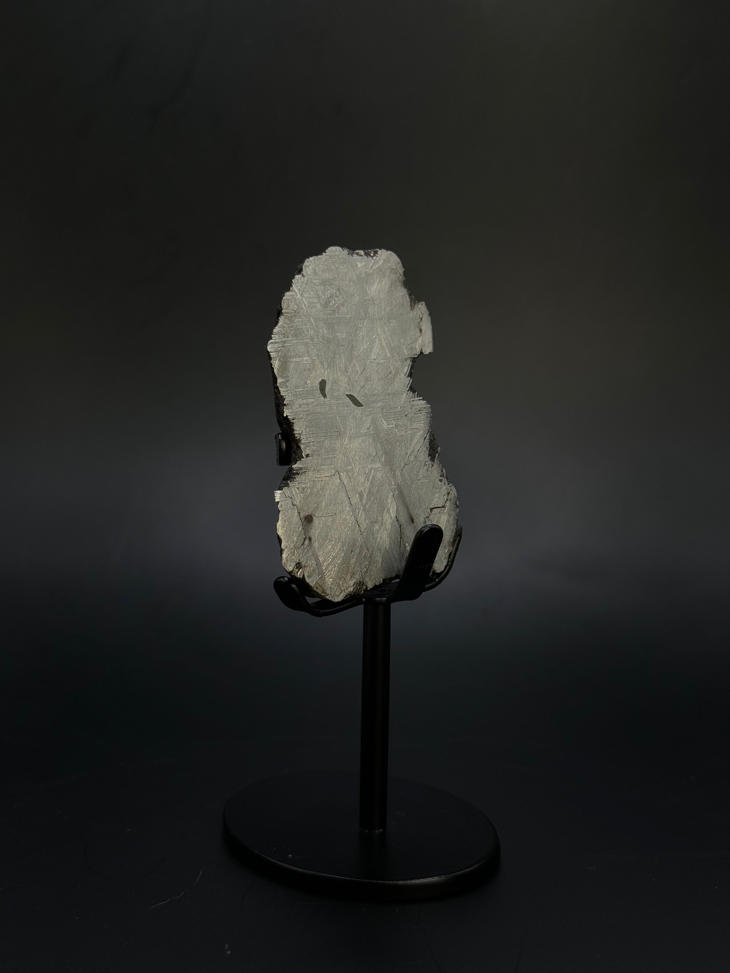 Muonionalusta meteorite, Sweden. 153,8 grams End-cut