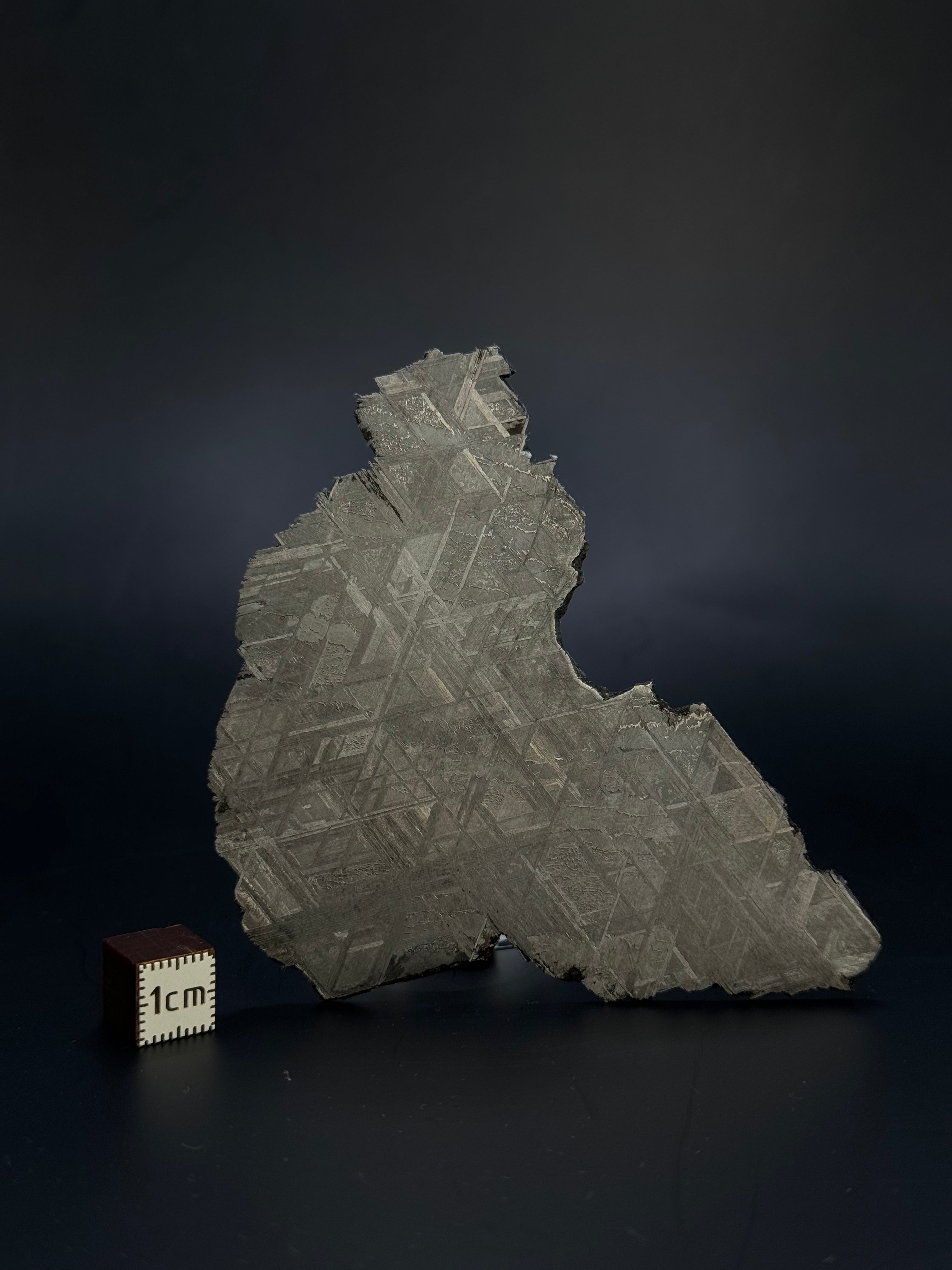 Muonionalusta meteorite, Sweden.  45,4 grams.