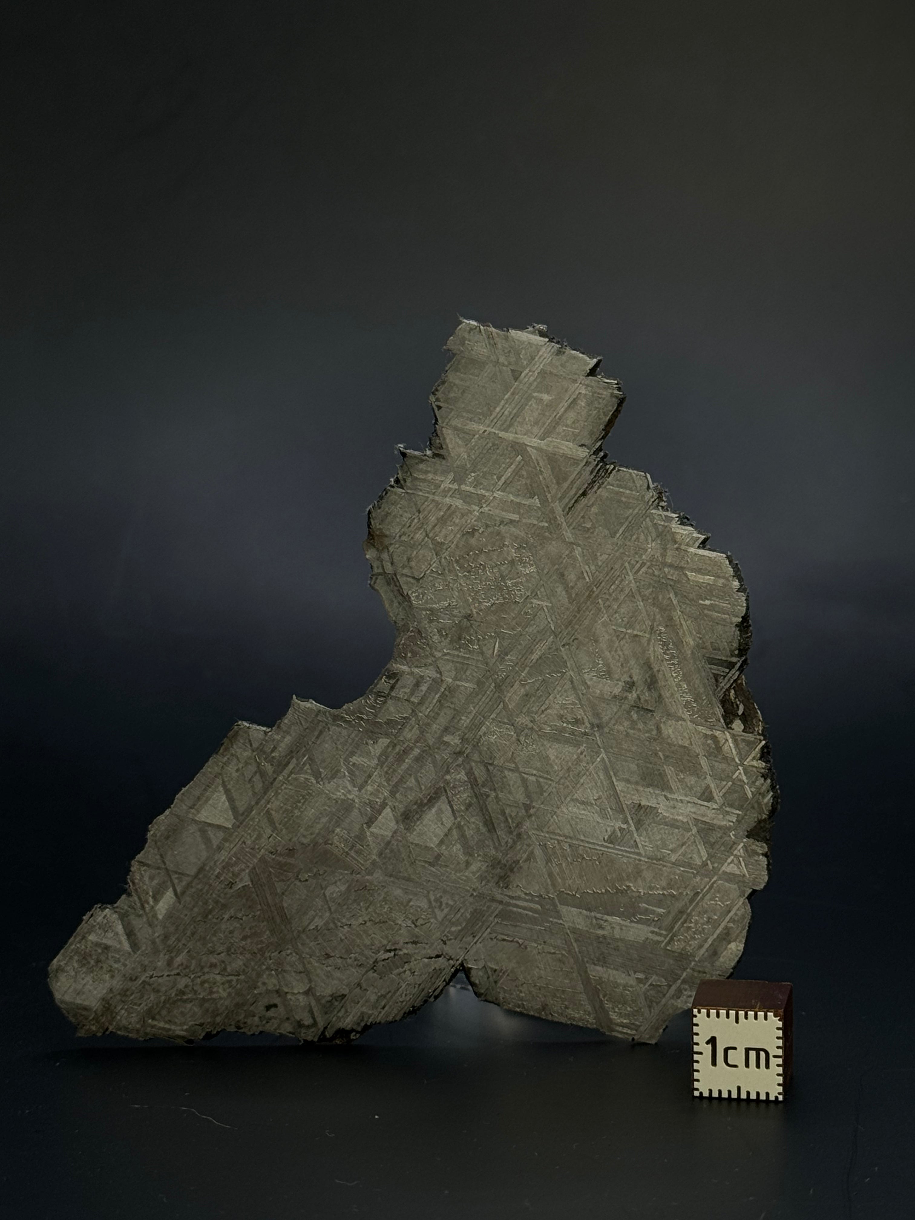 Muonionalusta meteorite, Sweden.  45,4 grams.