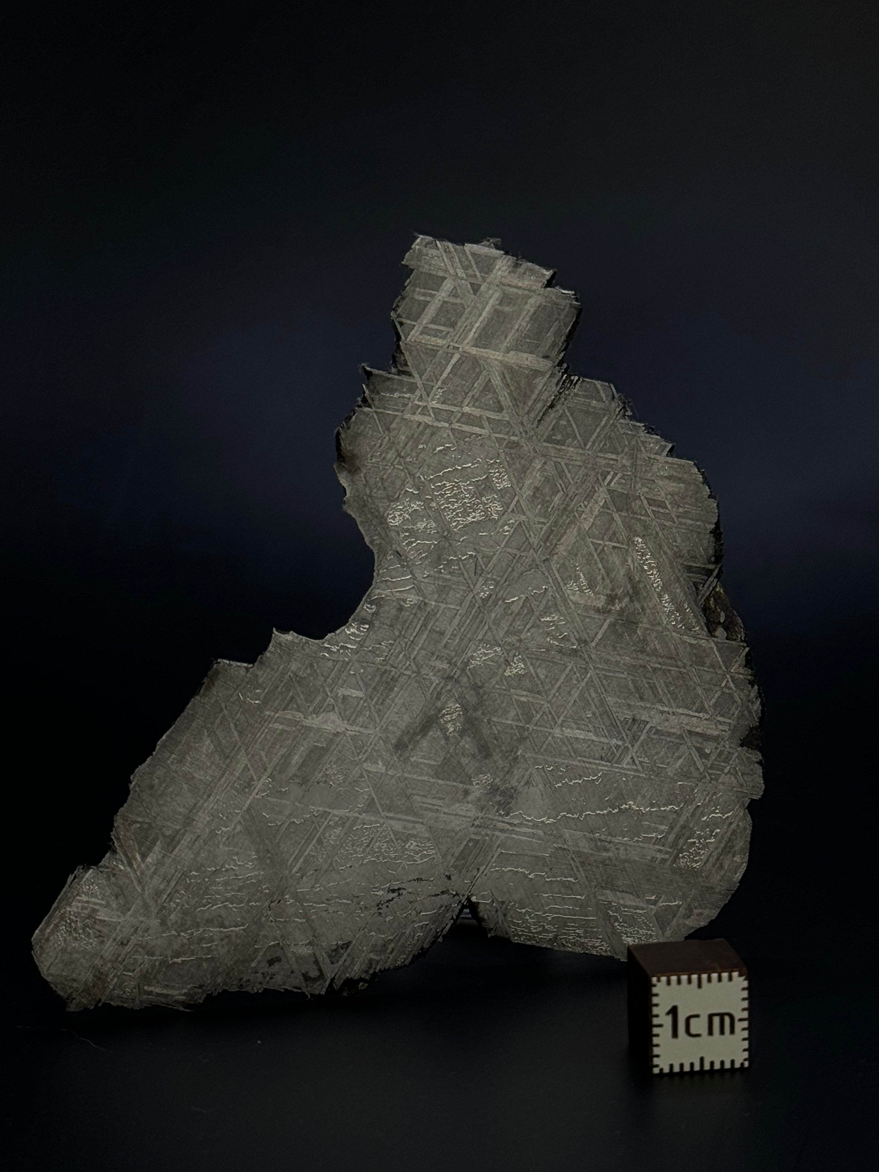 Muonionalusta meteorite, Sweden.  45,4 grams.