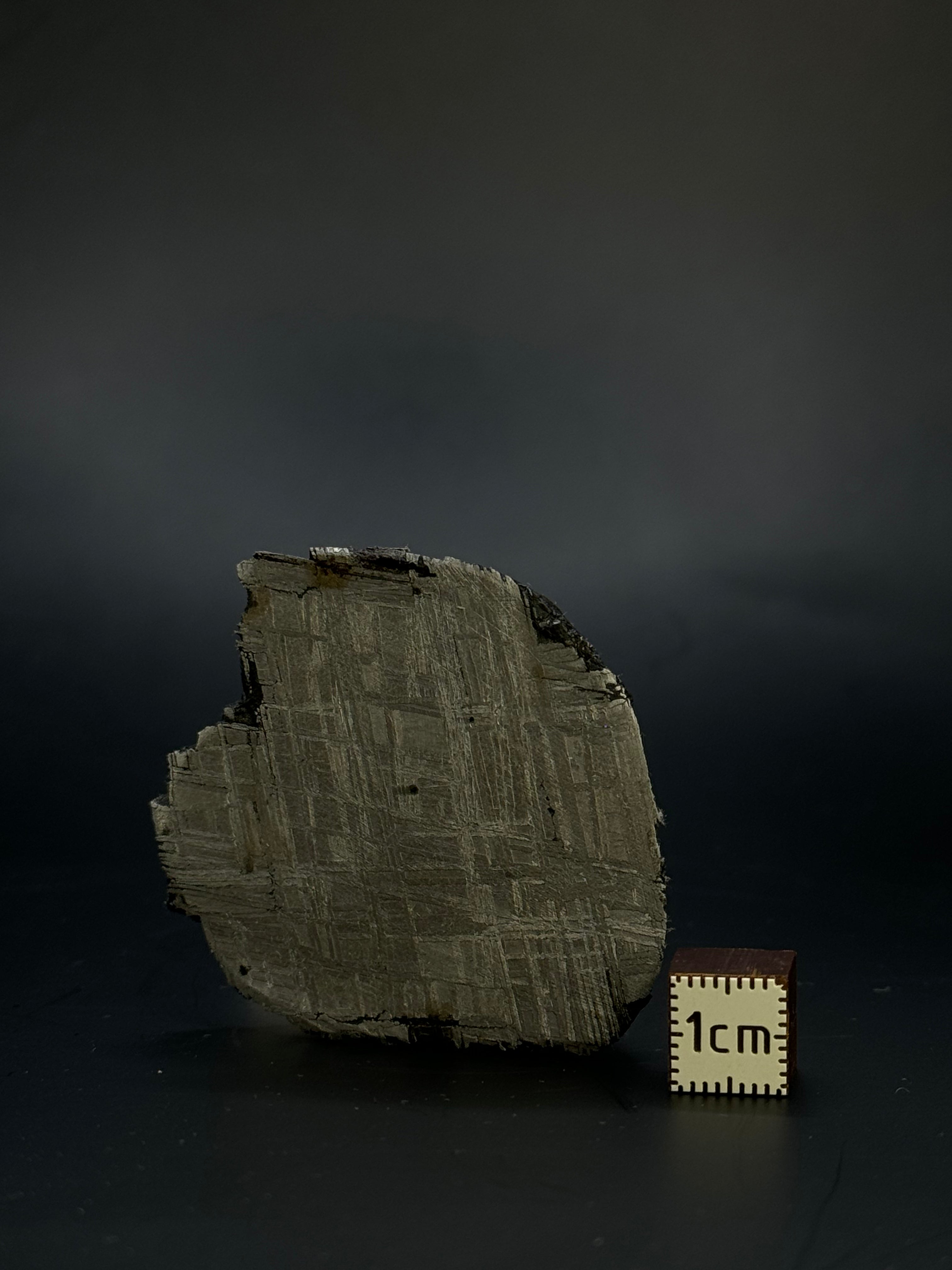 Muonionalusta meteorite, Sweden. 116,72 grams end-cut.