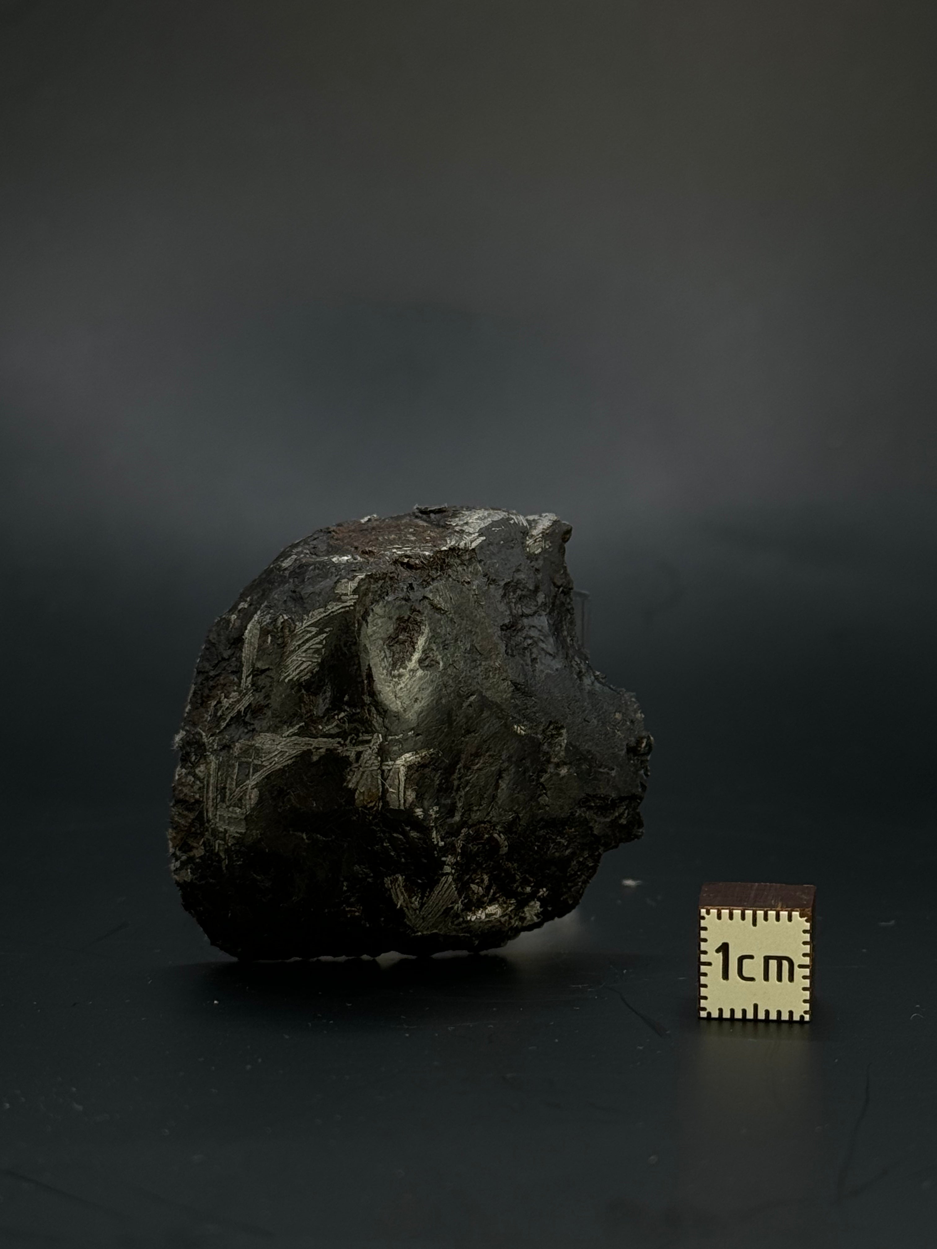 Muonionalusta meteorite, Sweden. 116,72 grams end-cut.