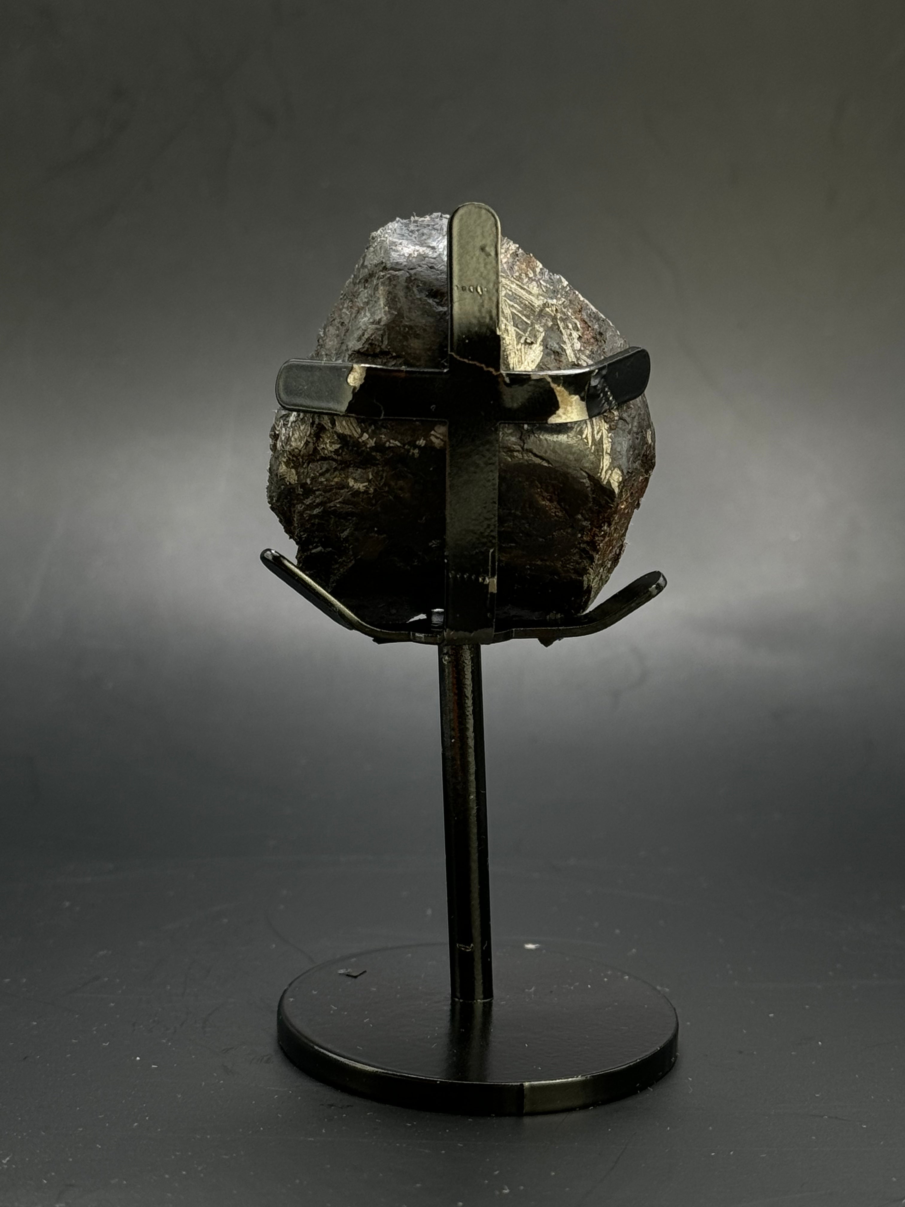 Muonionalusta meteorite, Sweden. 116,72 grams end-cut.