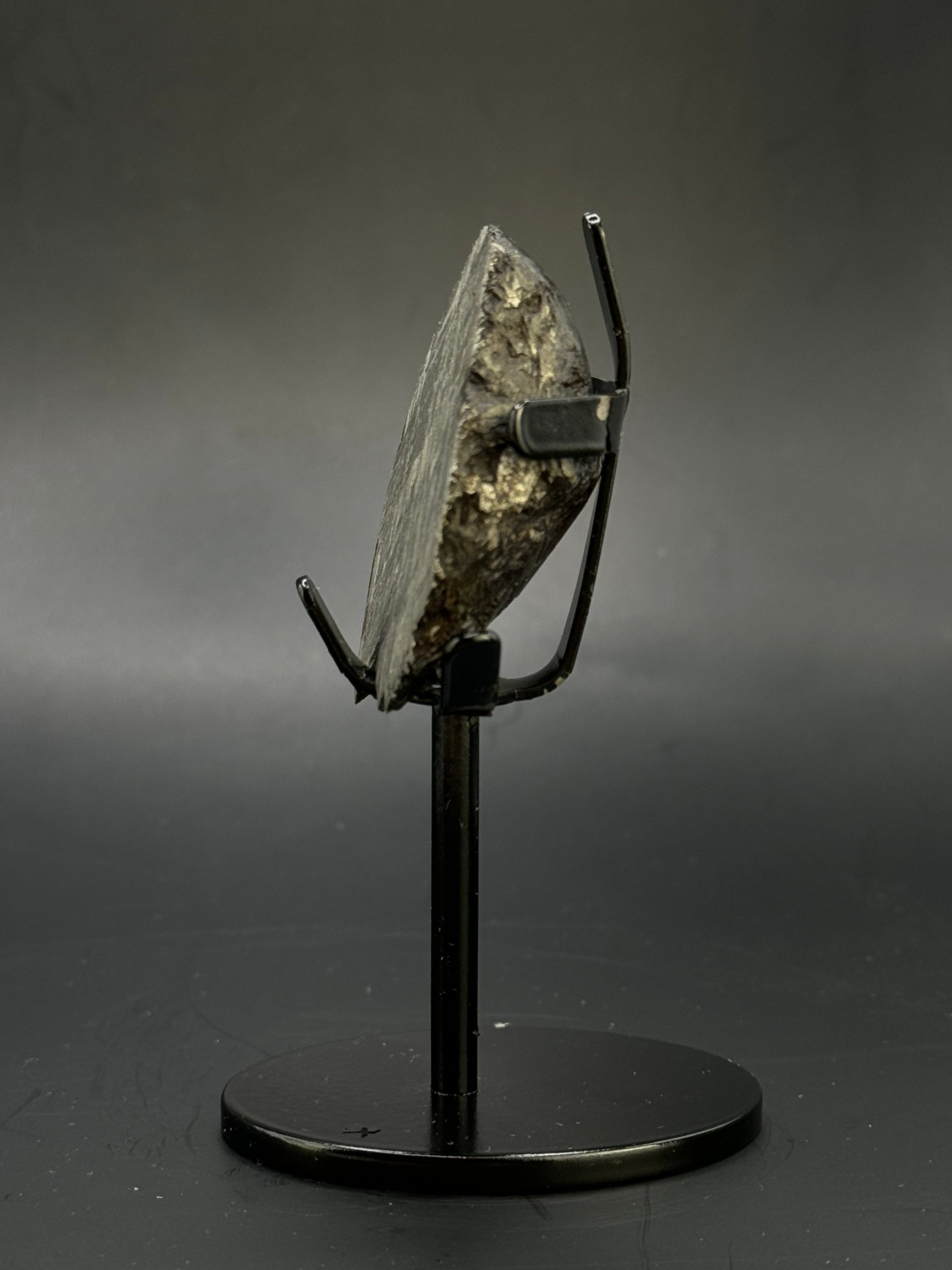 Muonionalusta meteorite, Sweden. 116,72 grams end-cut.