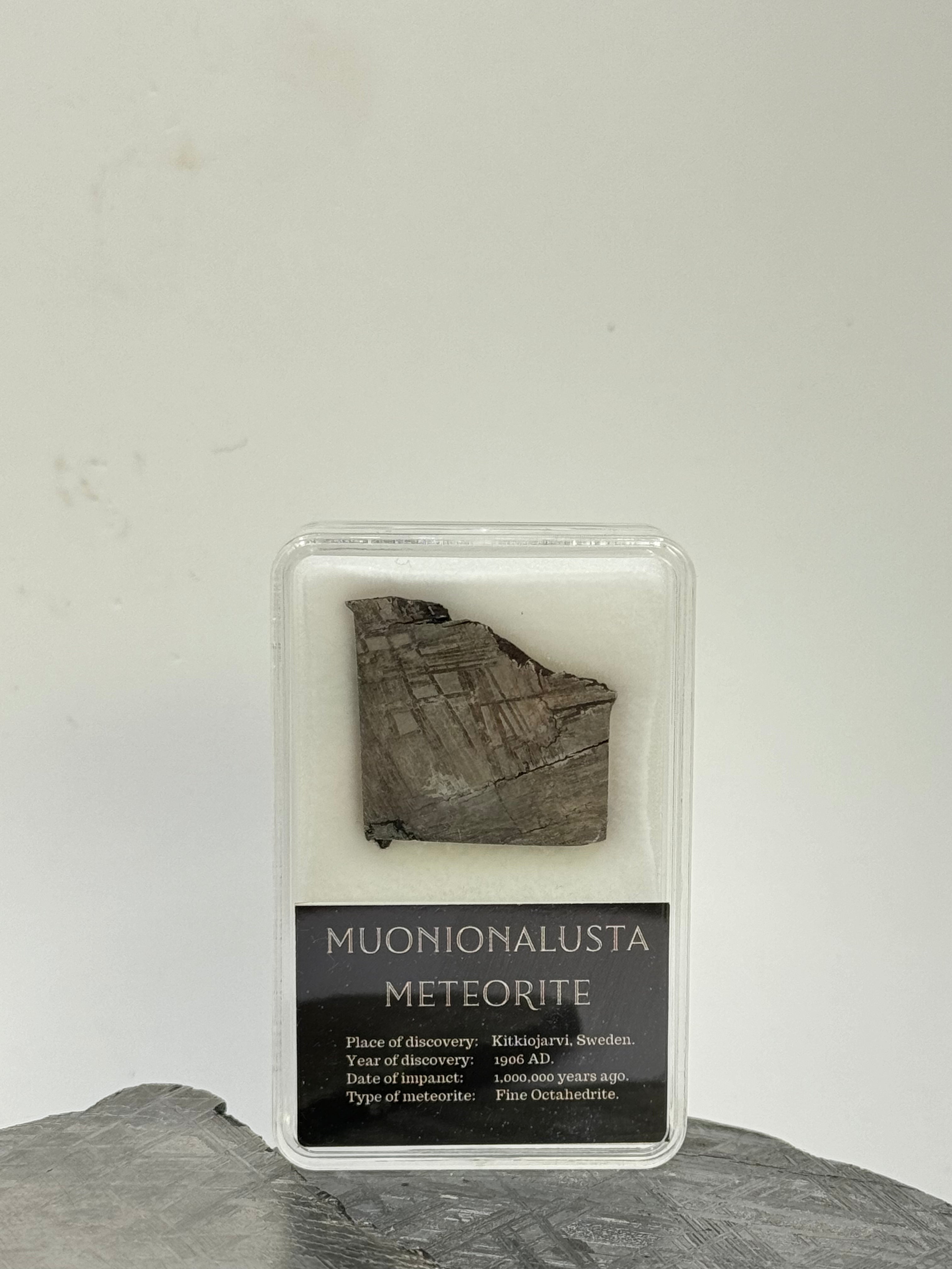 Muonionalusta meteorite in display box. 11 grams.