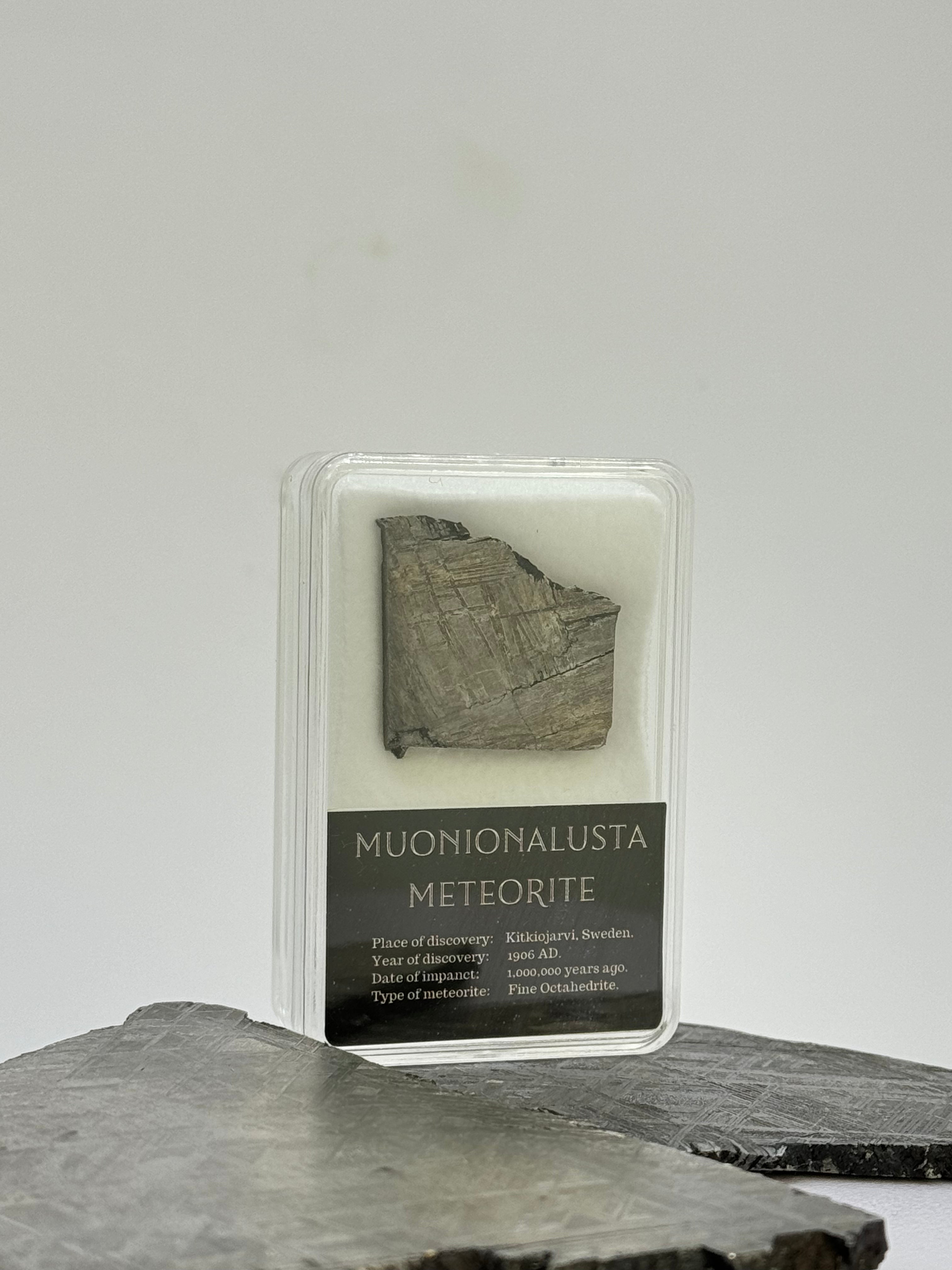 Muonionalusta meteorite in display box. 11 grams.