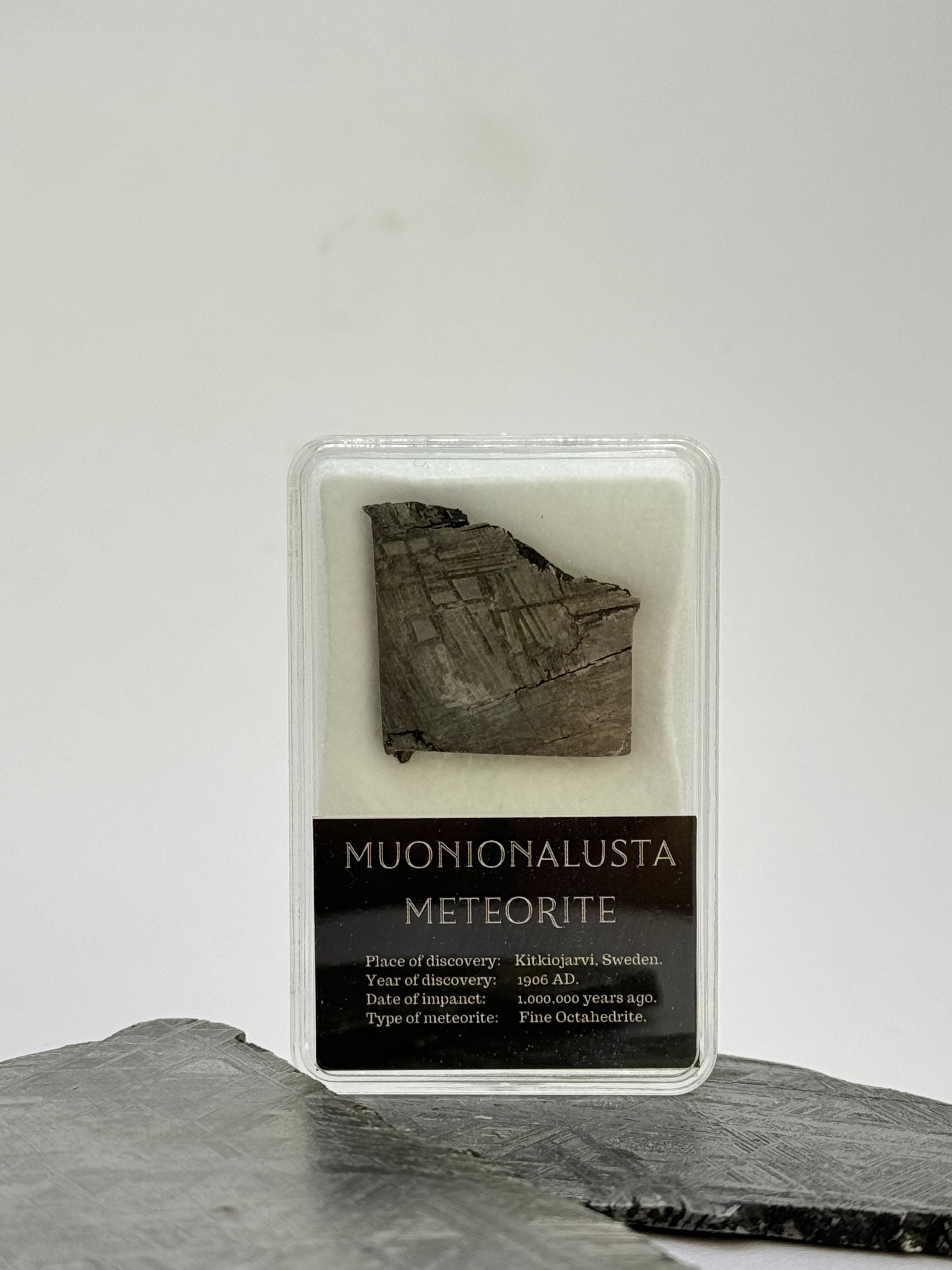 Muonionalusta meteorite in display box. 11 grams.