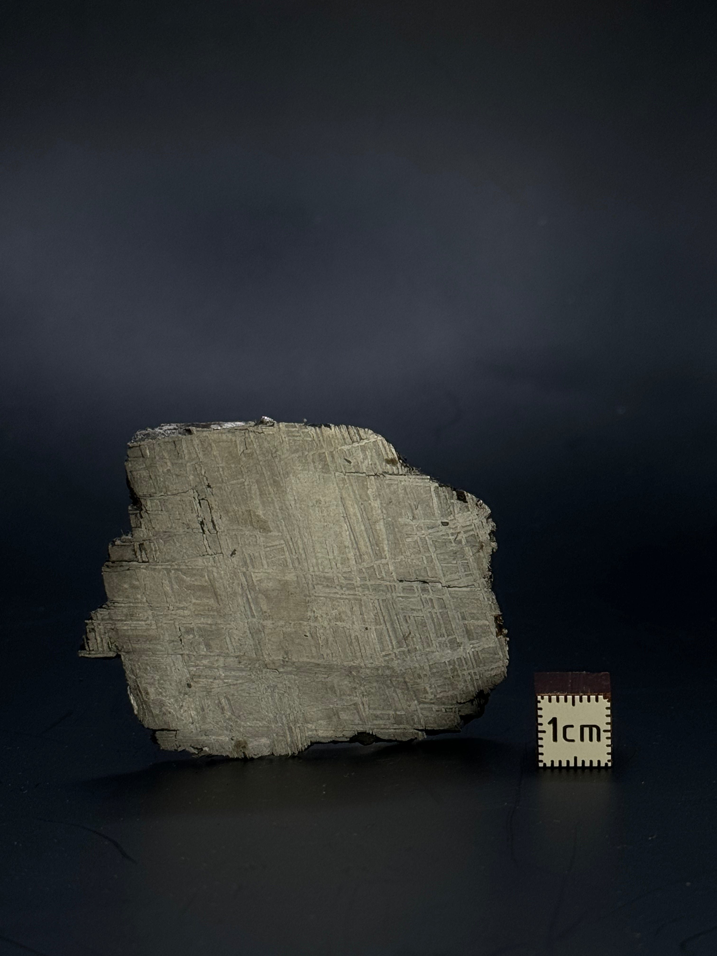 Muonionalusta meteorite, Sweden. 47,20 grams.