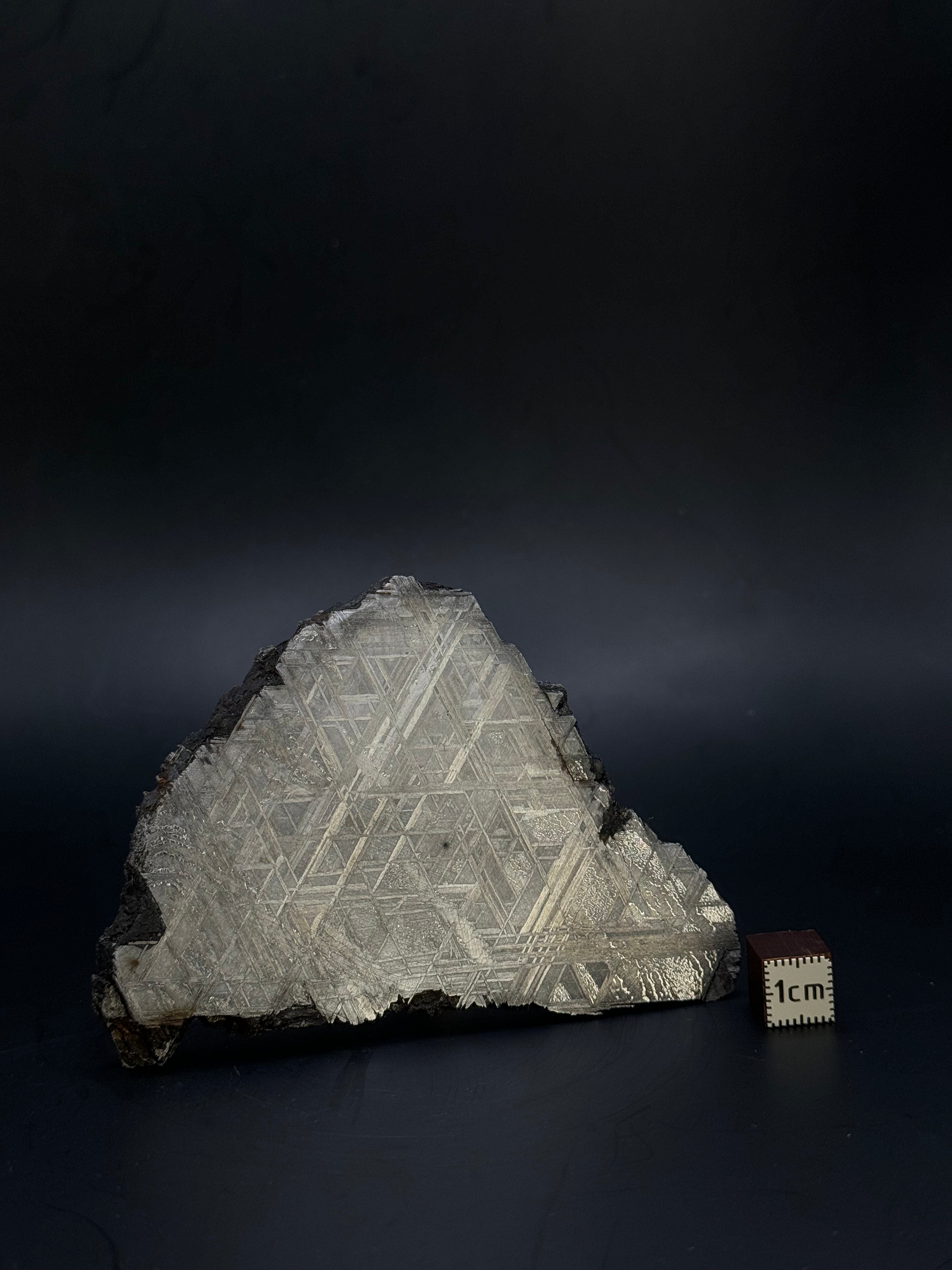 Muonionalusta meteorite, Sweden. 128,60 grams.