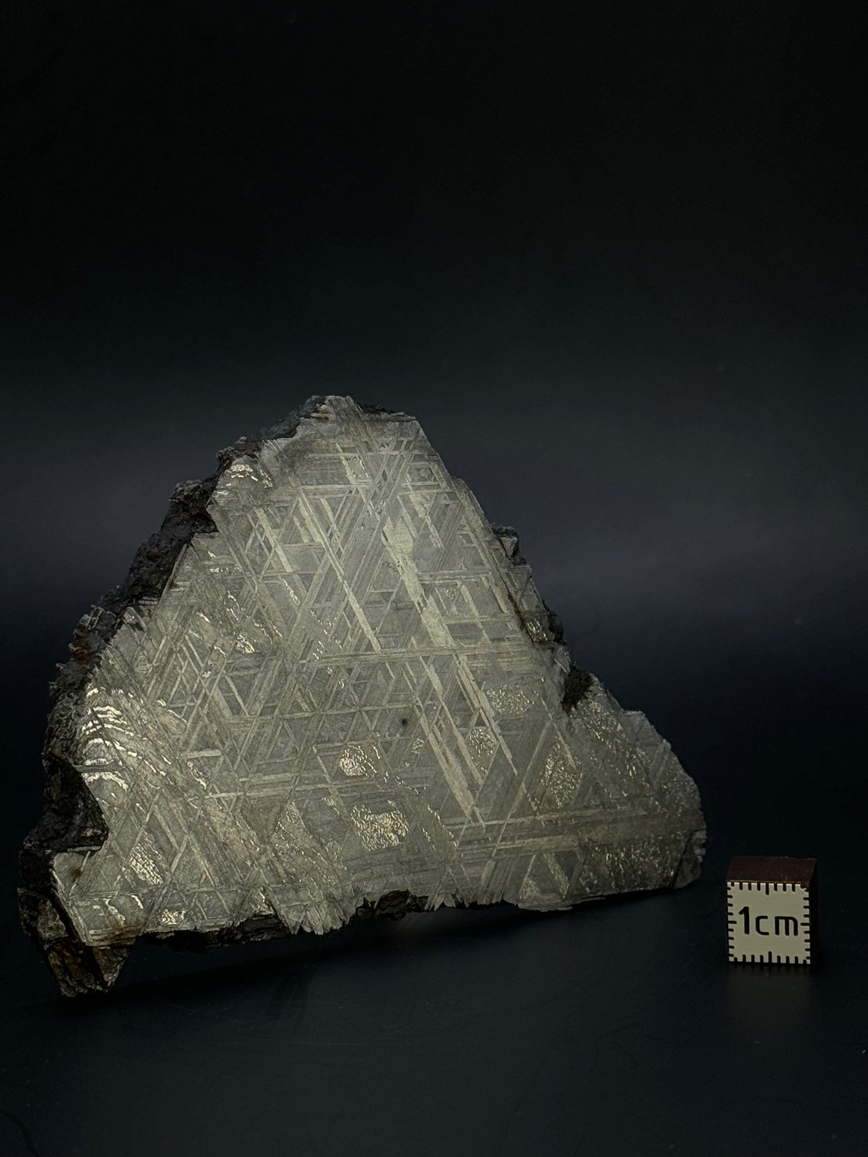 Muonionalusta meteorite, Sweden. 128,60 grams.