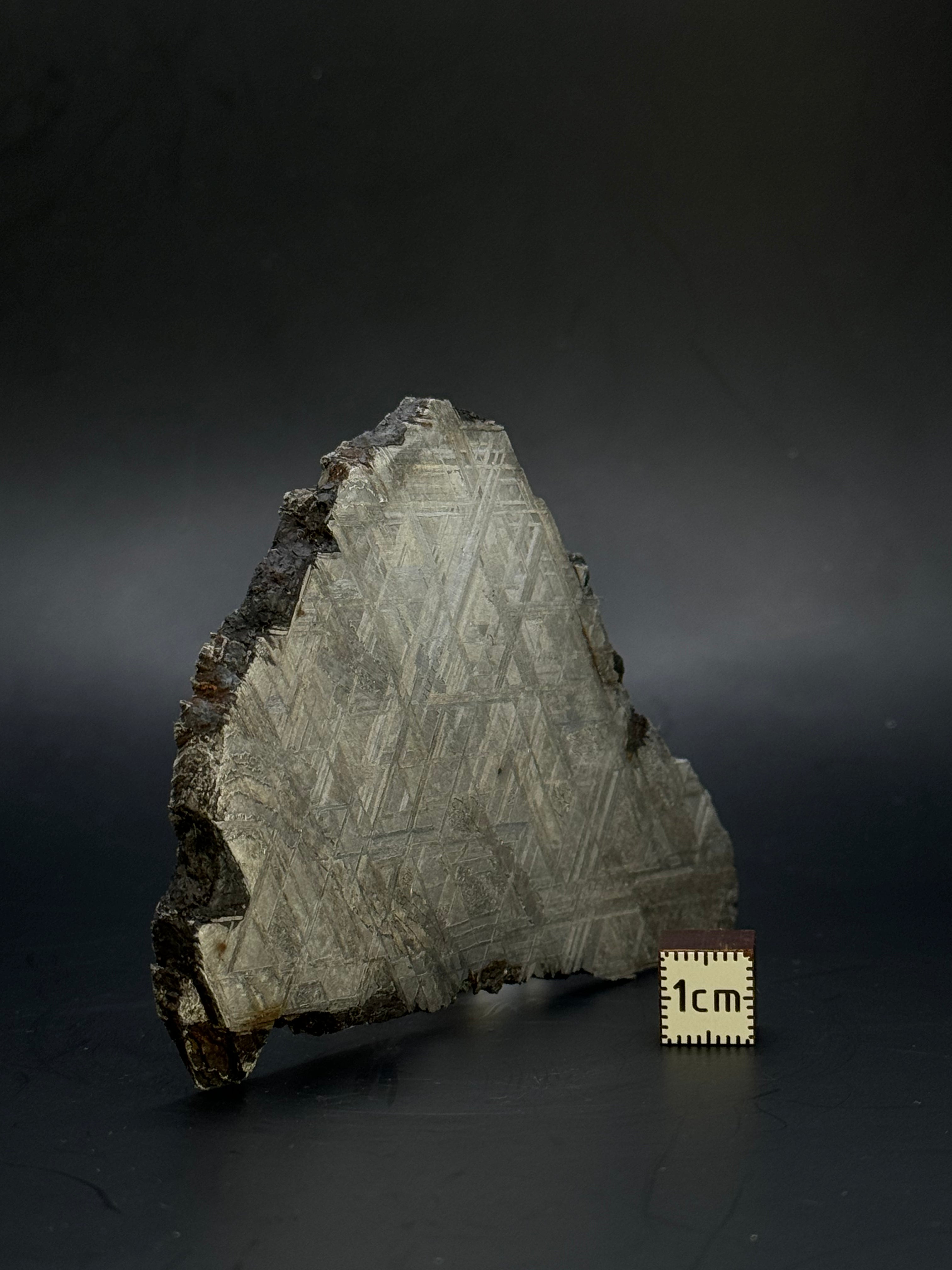 Muonionalusta meteorite, Sweden. 128,60 grams.
