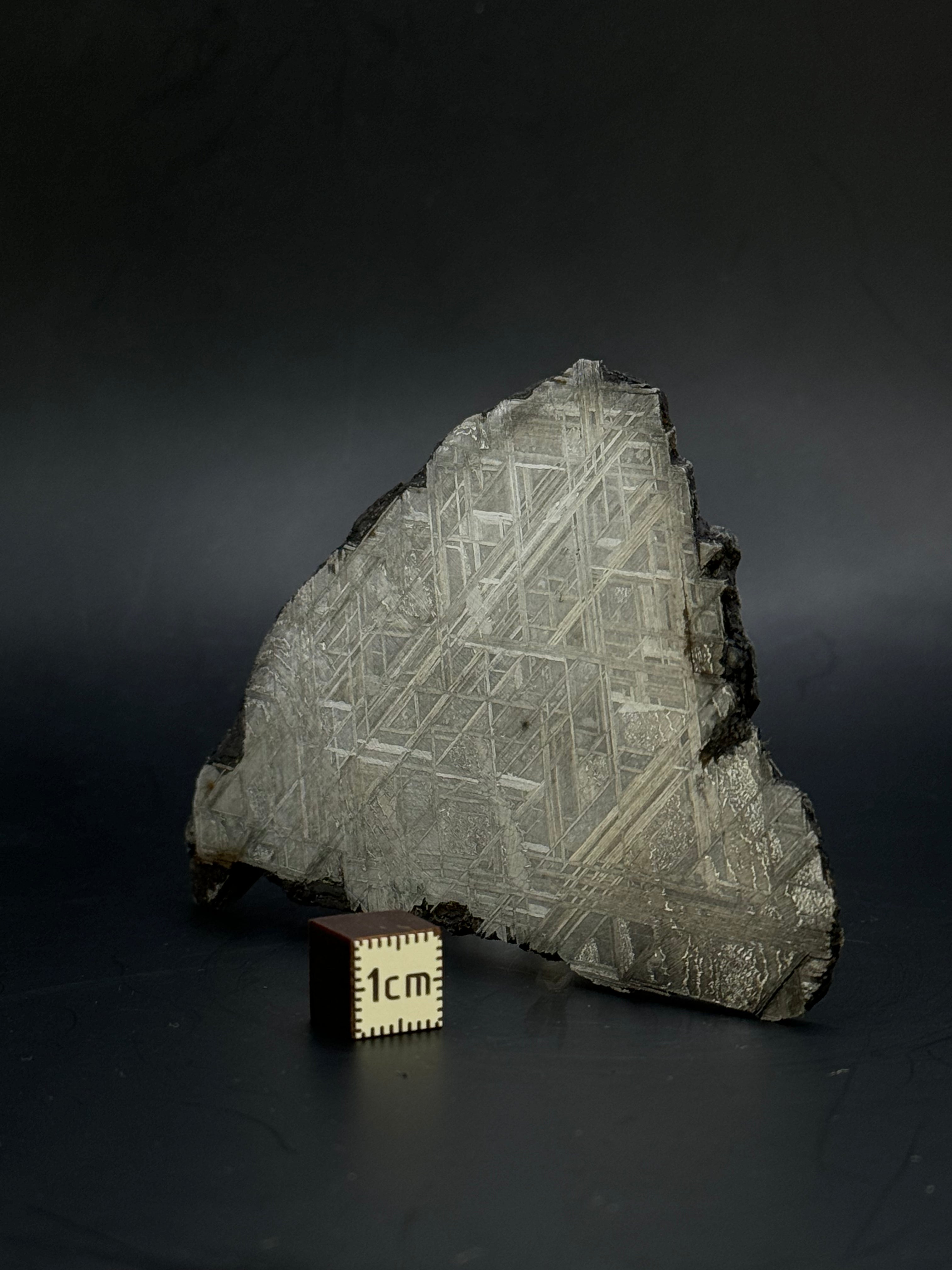 Muonionalusta meteorite, Sweden. 128,60 grams.
