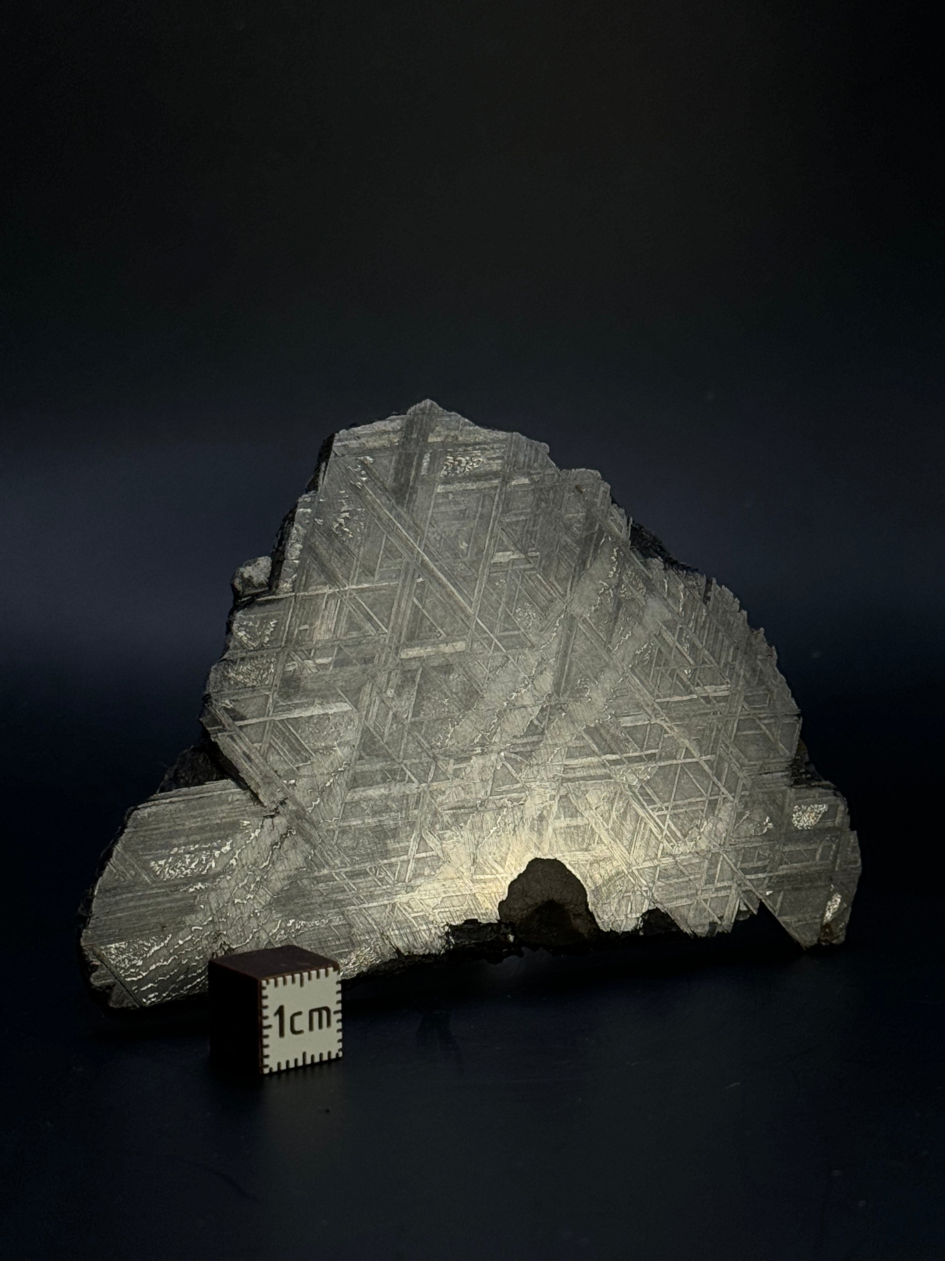 Muonionalusta meteorite, Sweden. 128,60 grams.