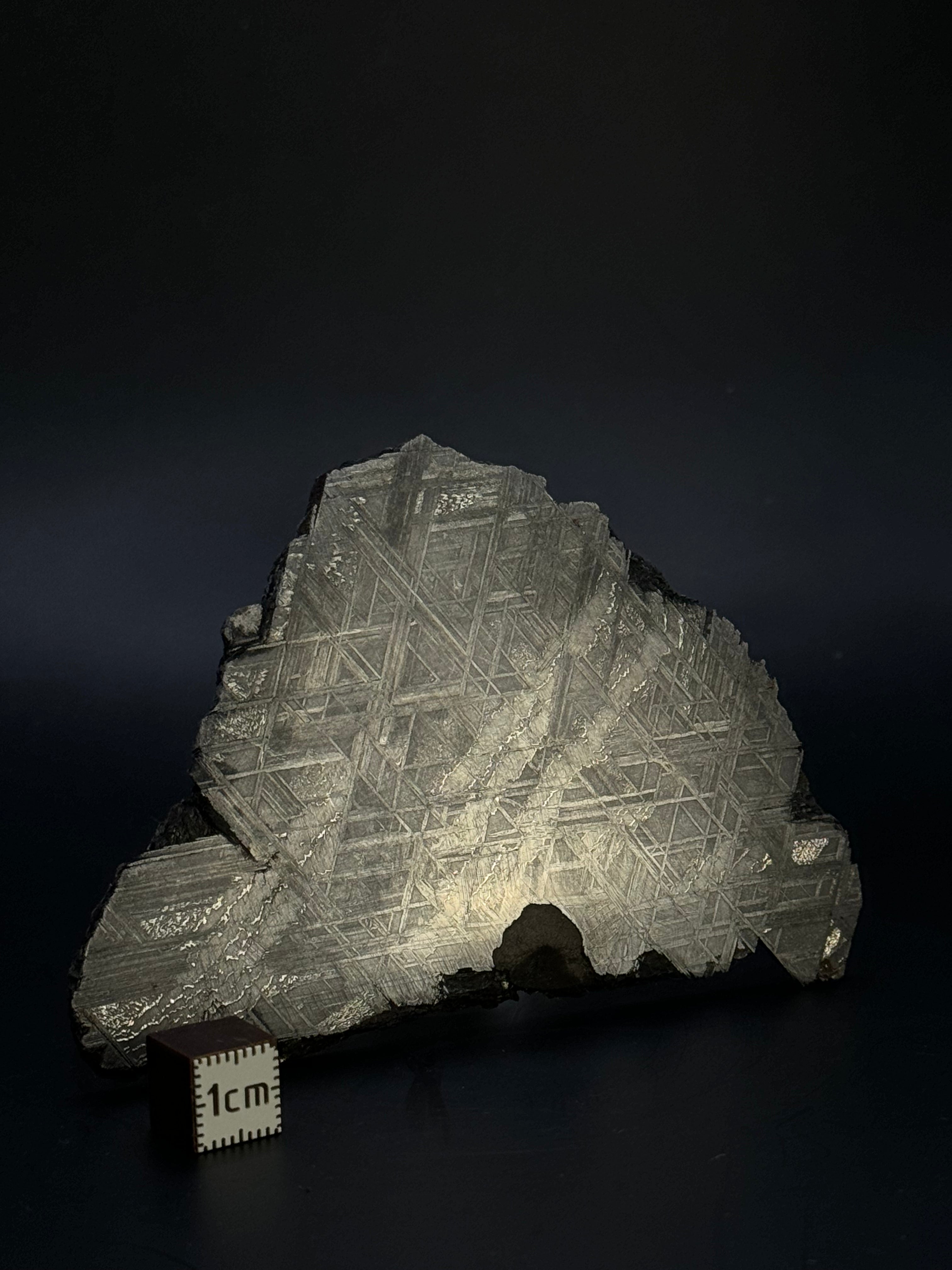 Muonionalusta meteorite, Sweden. 128,60 grams.