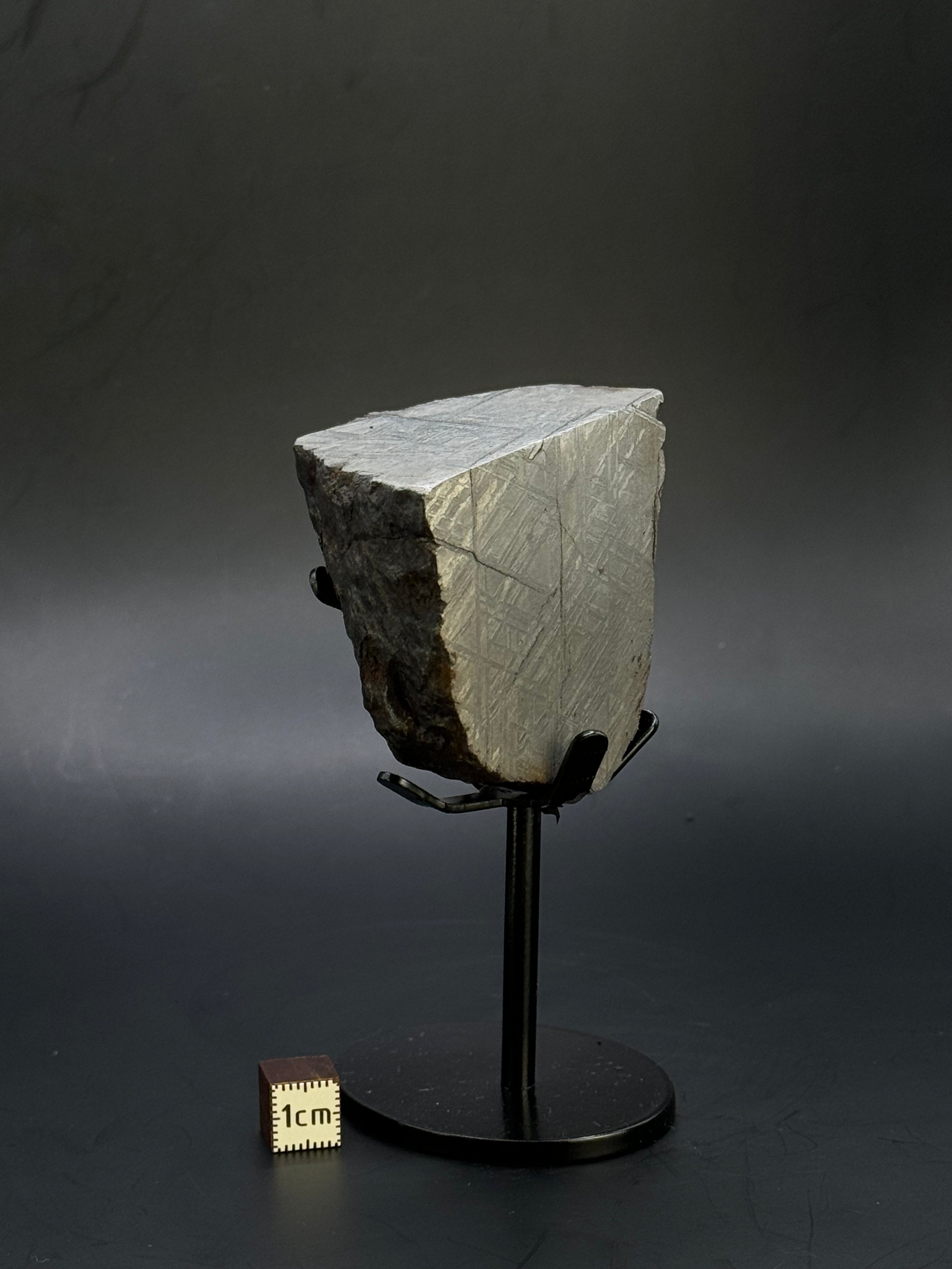 Muonionalusta meteorite, Sweden. 390 grams end-cut.