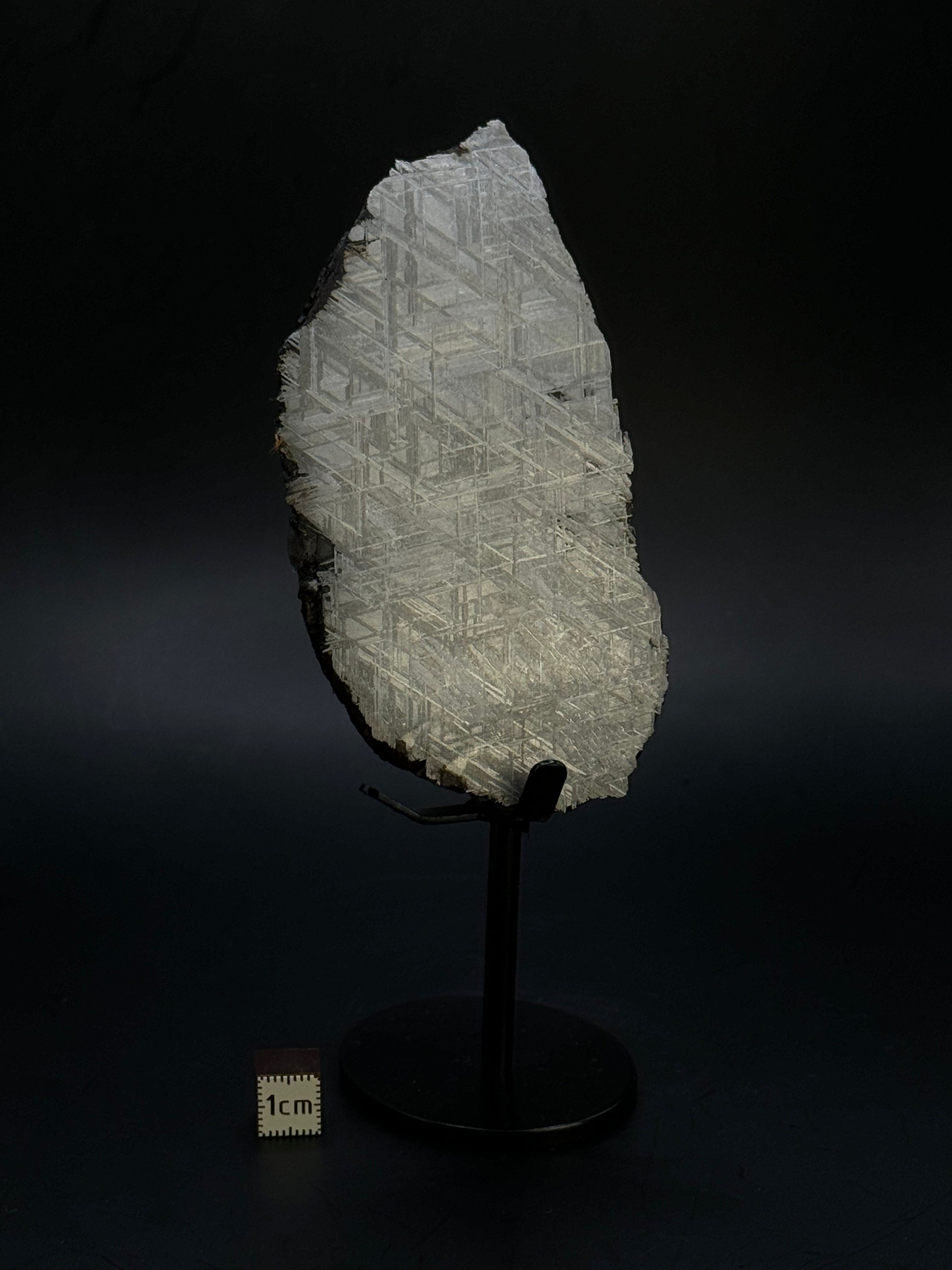 Muonionalusta meteorite, Sweden. 287 grams end-cut.