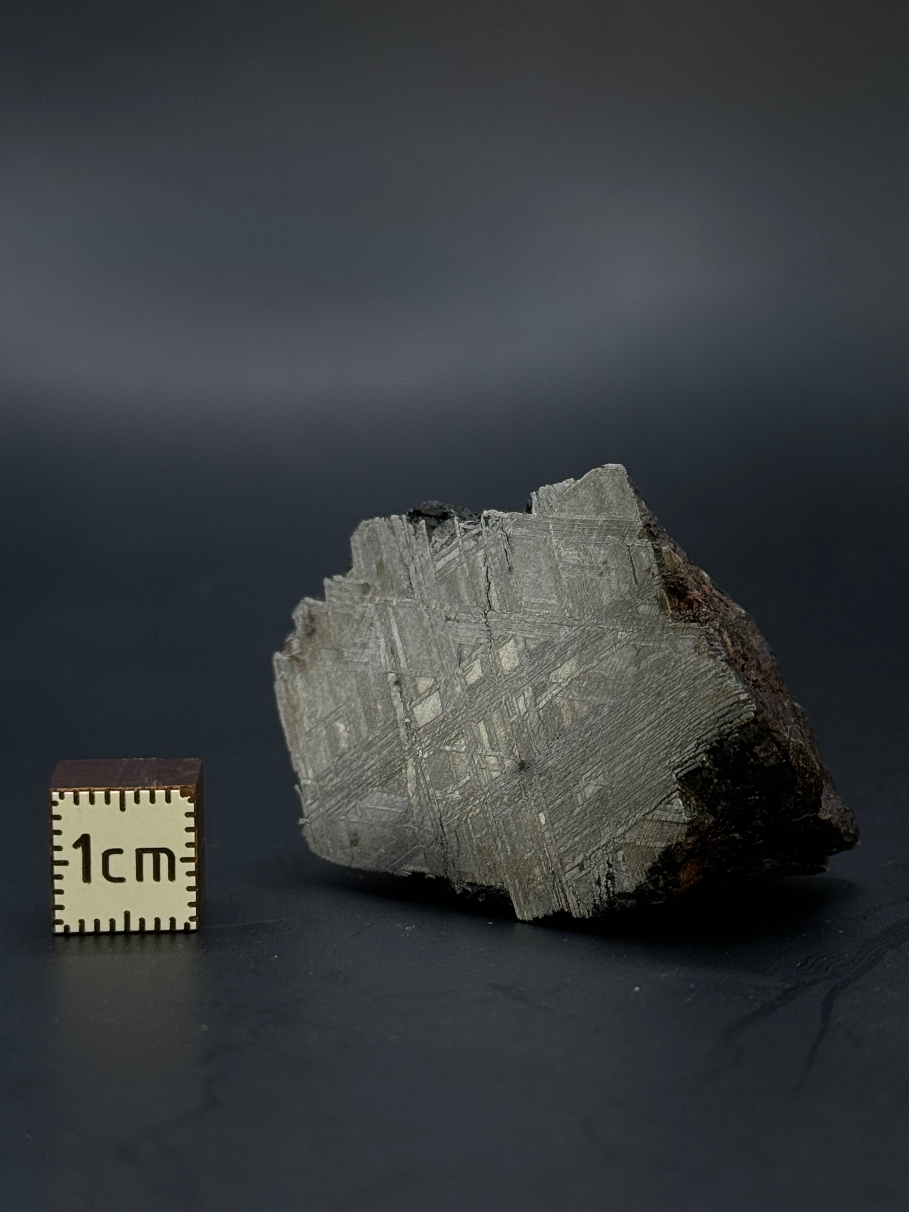 Muonionalusta meteorite, Sweden. End-cut 81,16 grams.