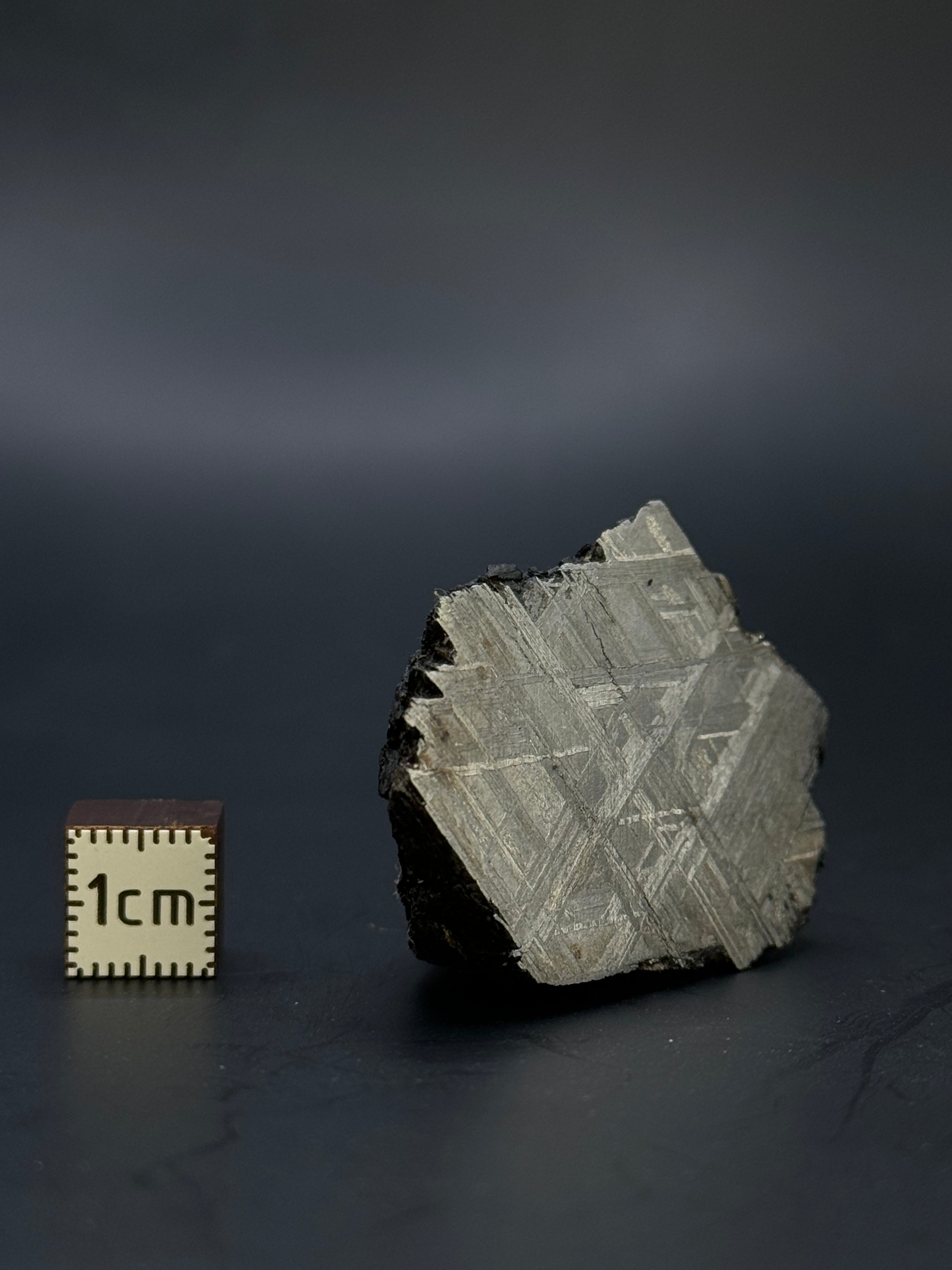 Muonionalusta meteorite, Sweden. End-cut 81,16 grams.