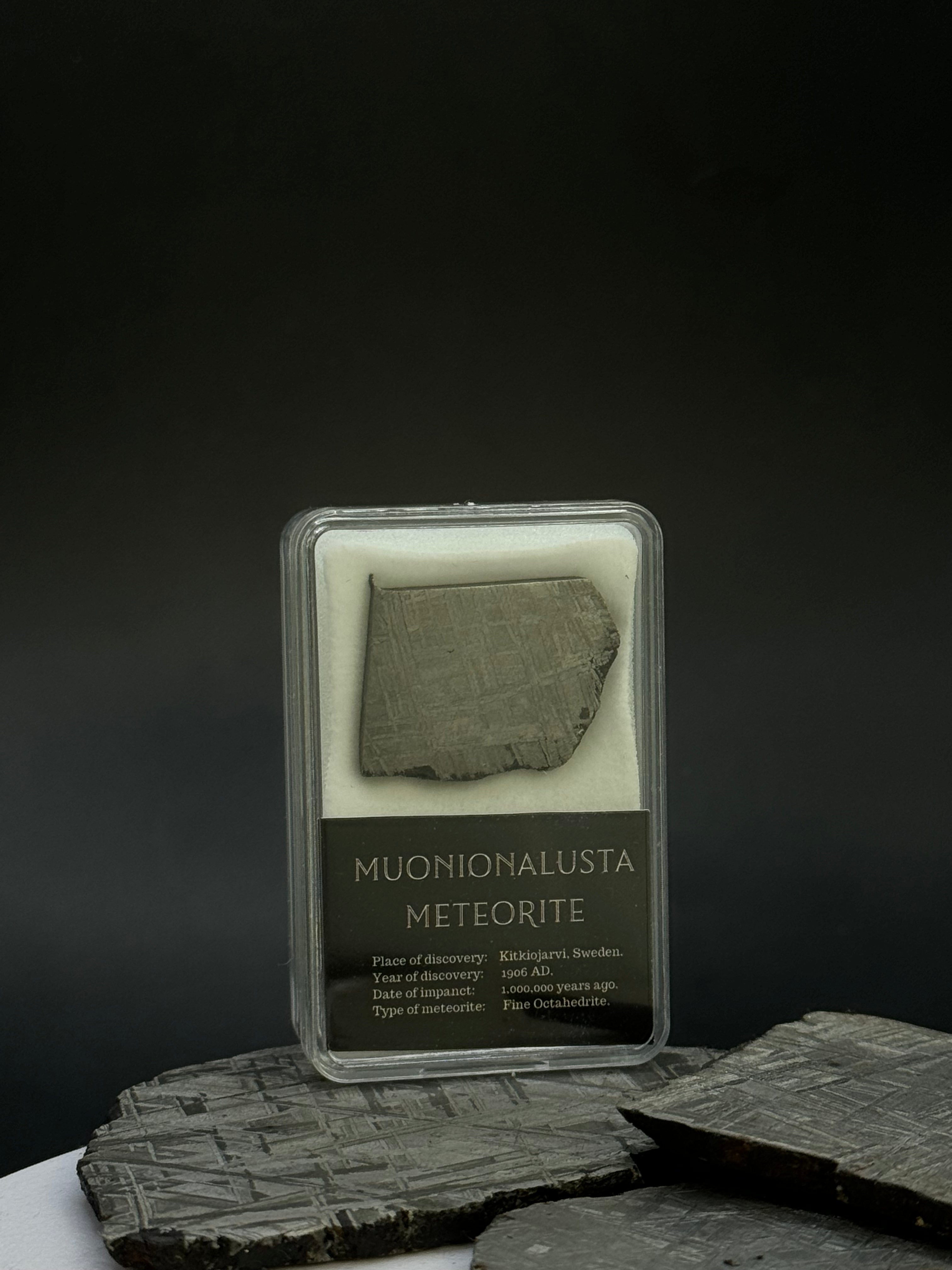 Muonionalusta meteorite, Sweden. 11.09 grams.