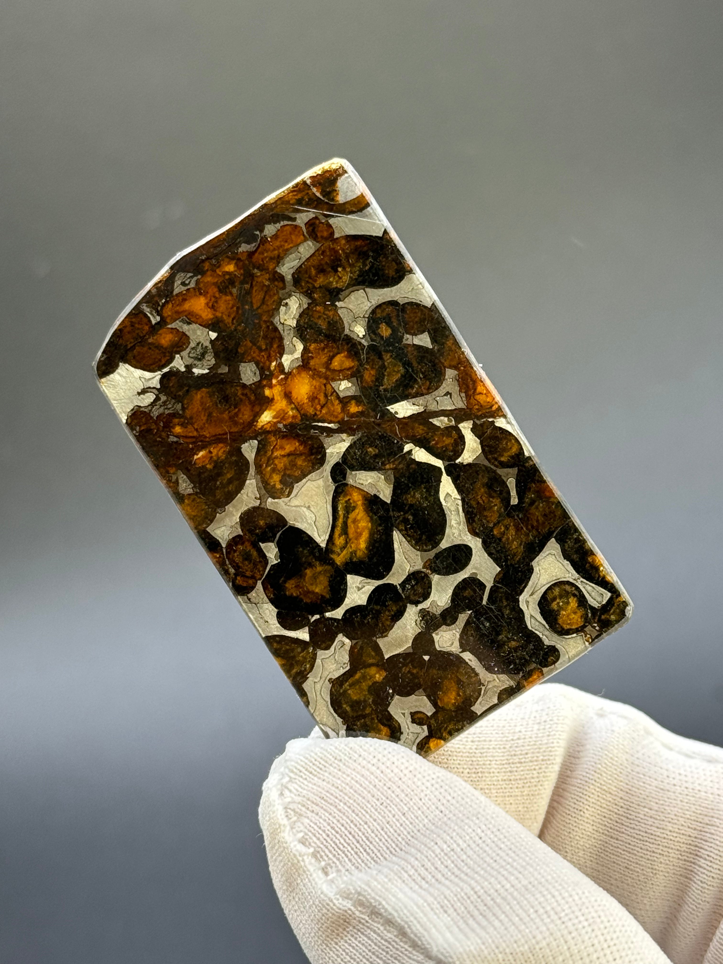 SERICHO METEORITE, KENYA. 9,43 GRAMS.