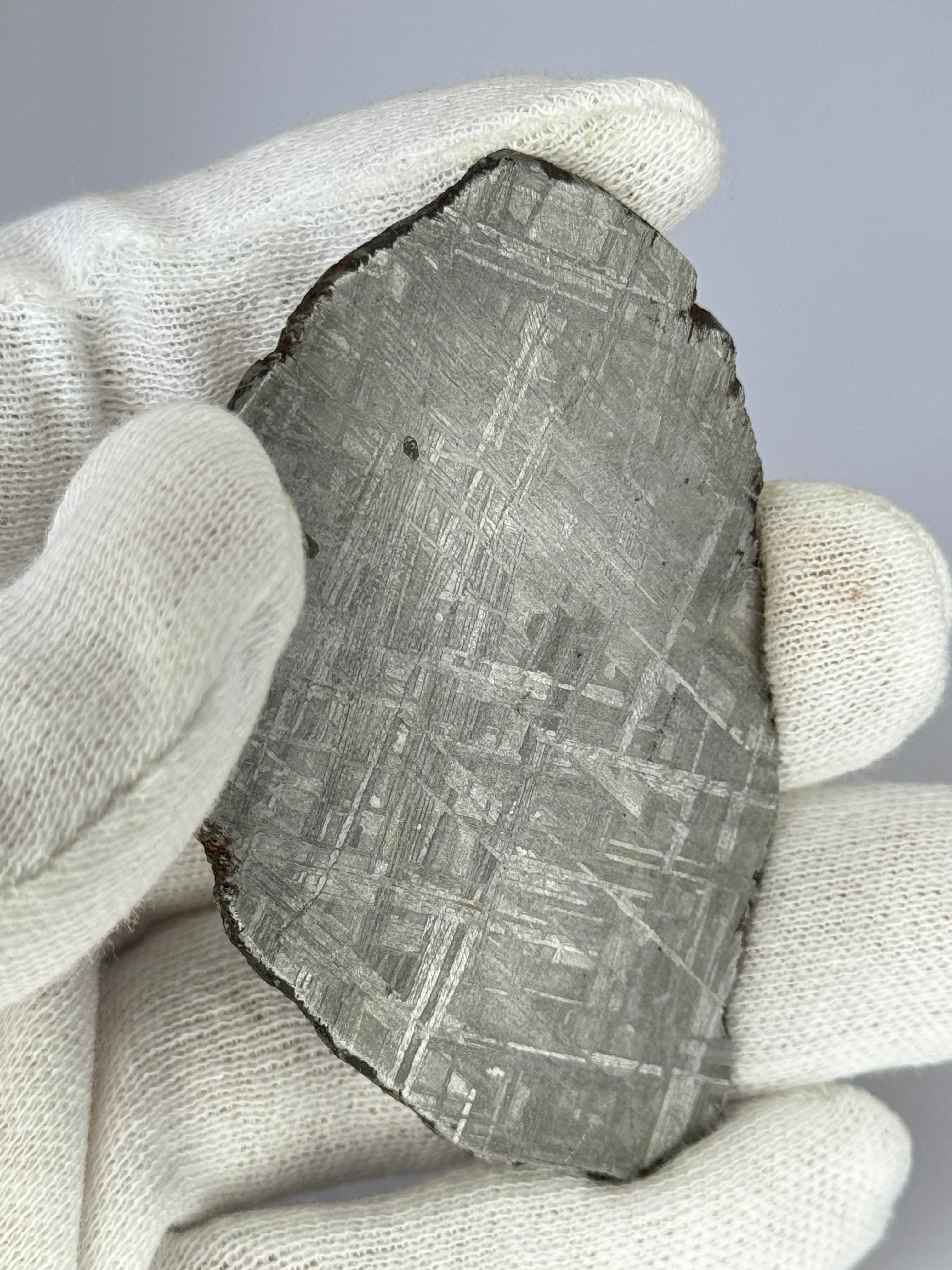 Muonionalusta meteorite, Sweden.  69,77 grams.