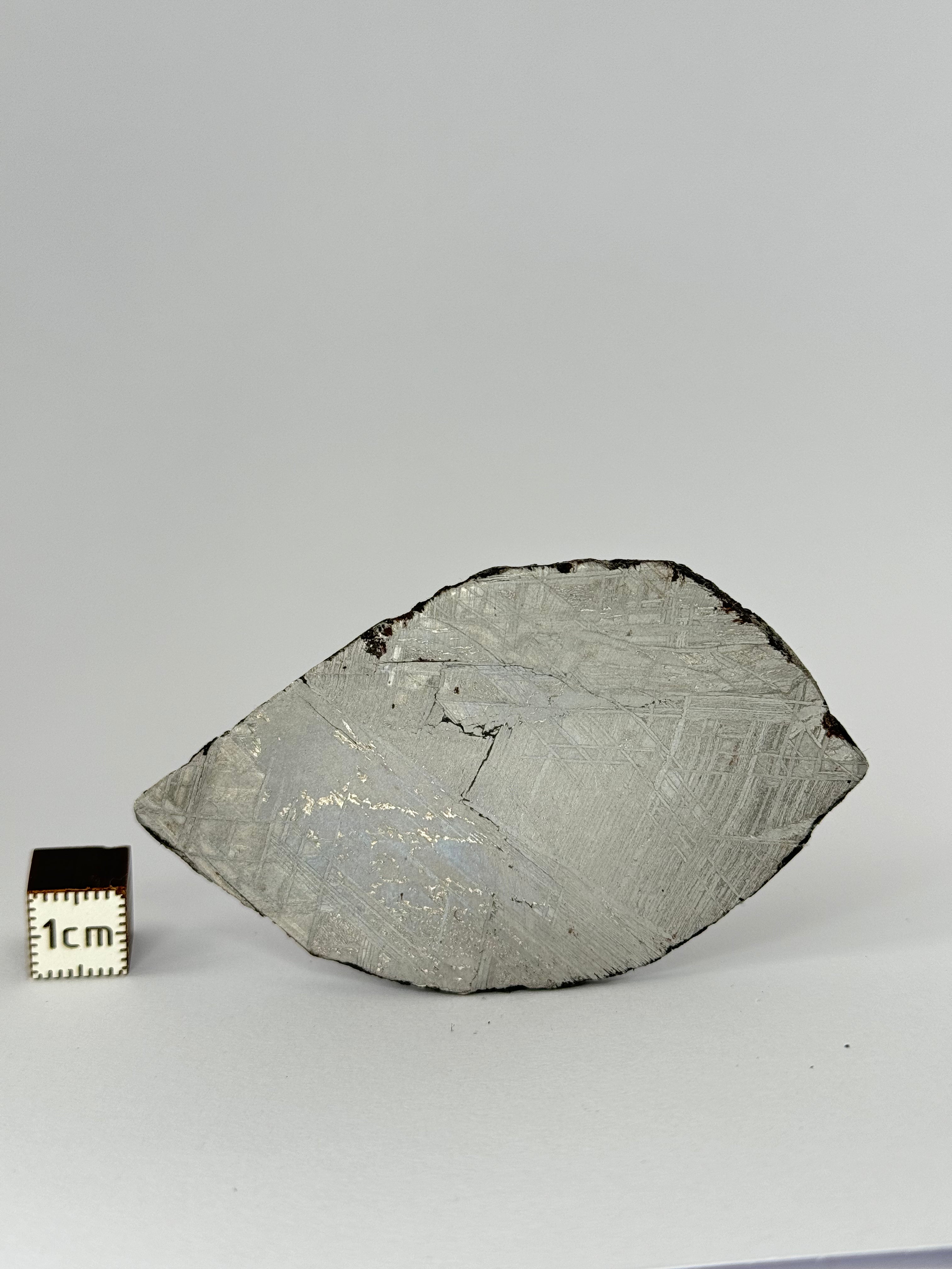 Muonionalusta meteorite, Sweden.  53,93 grams slice.