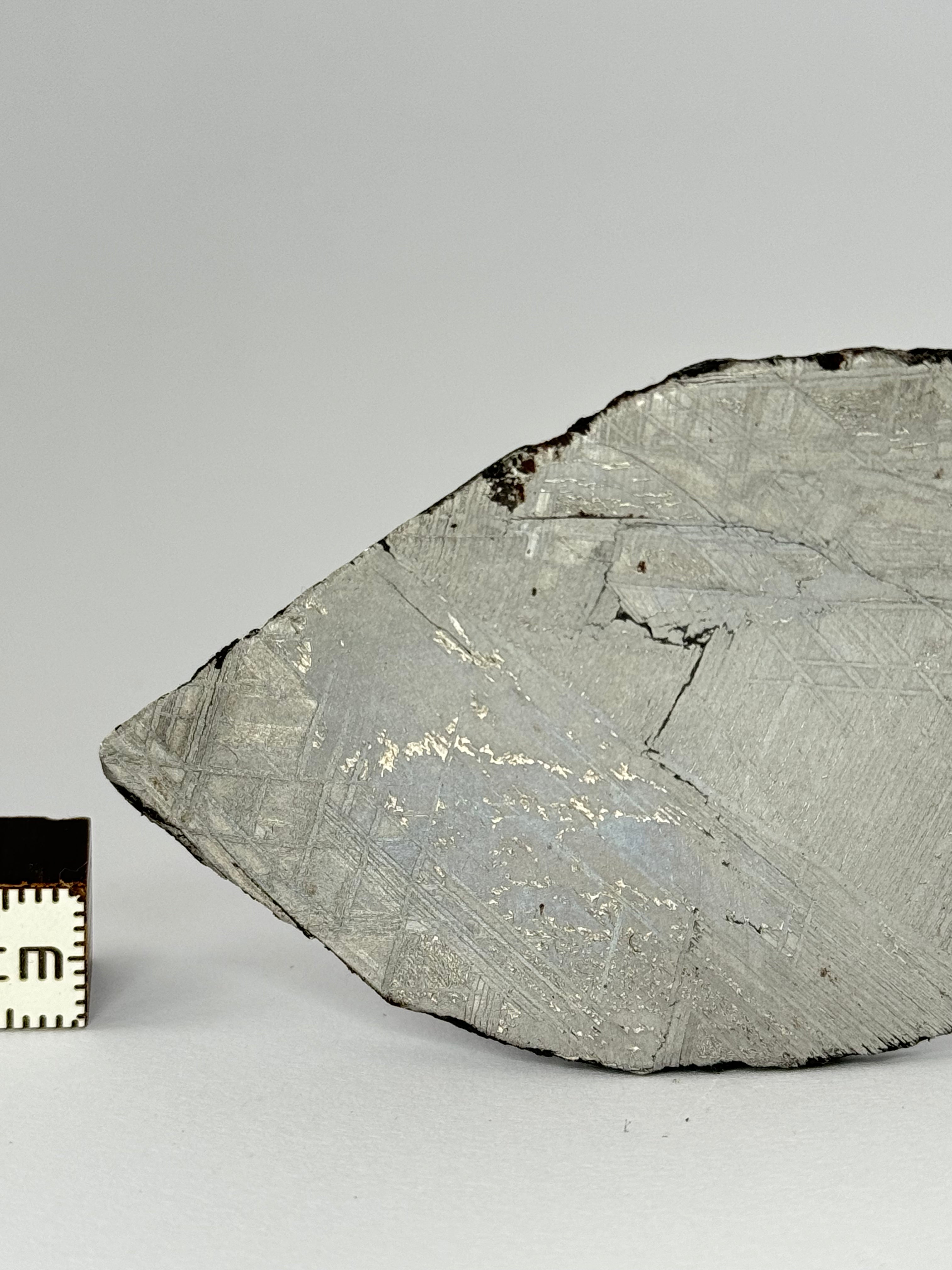 Muonionalusta meteorite, Sweden.  53,93 grams slice.