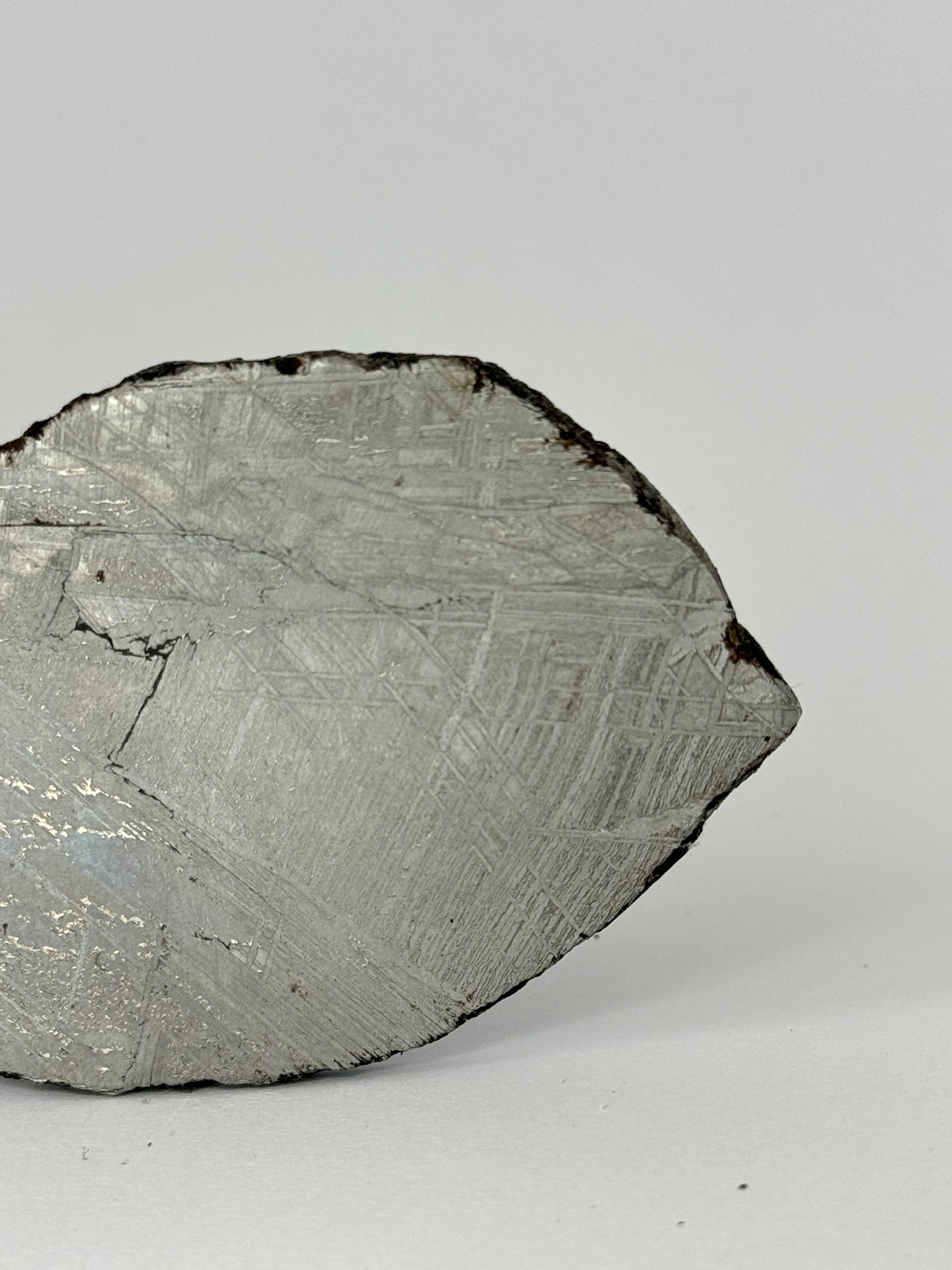 Muonionalusta meteorite, Sweden.  53,93 grams slice.