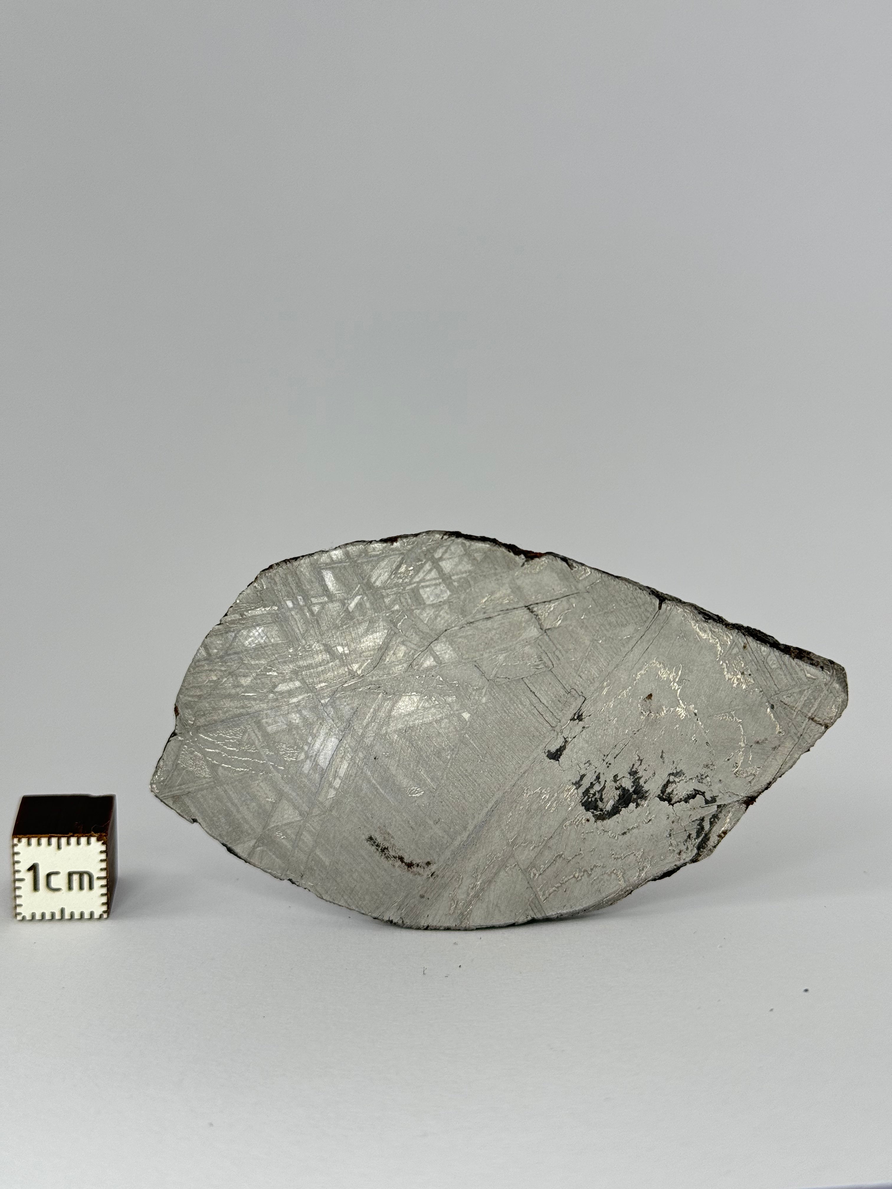 Muonionalusta meteorite, Sweden.  53,93 grams slice.
