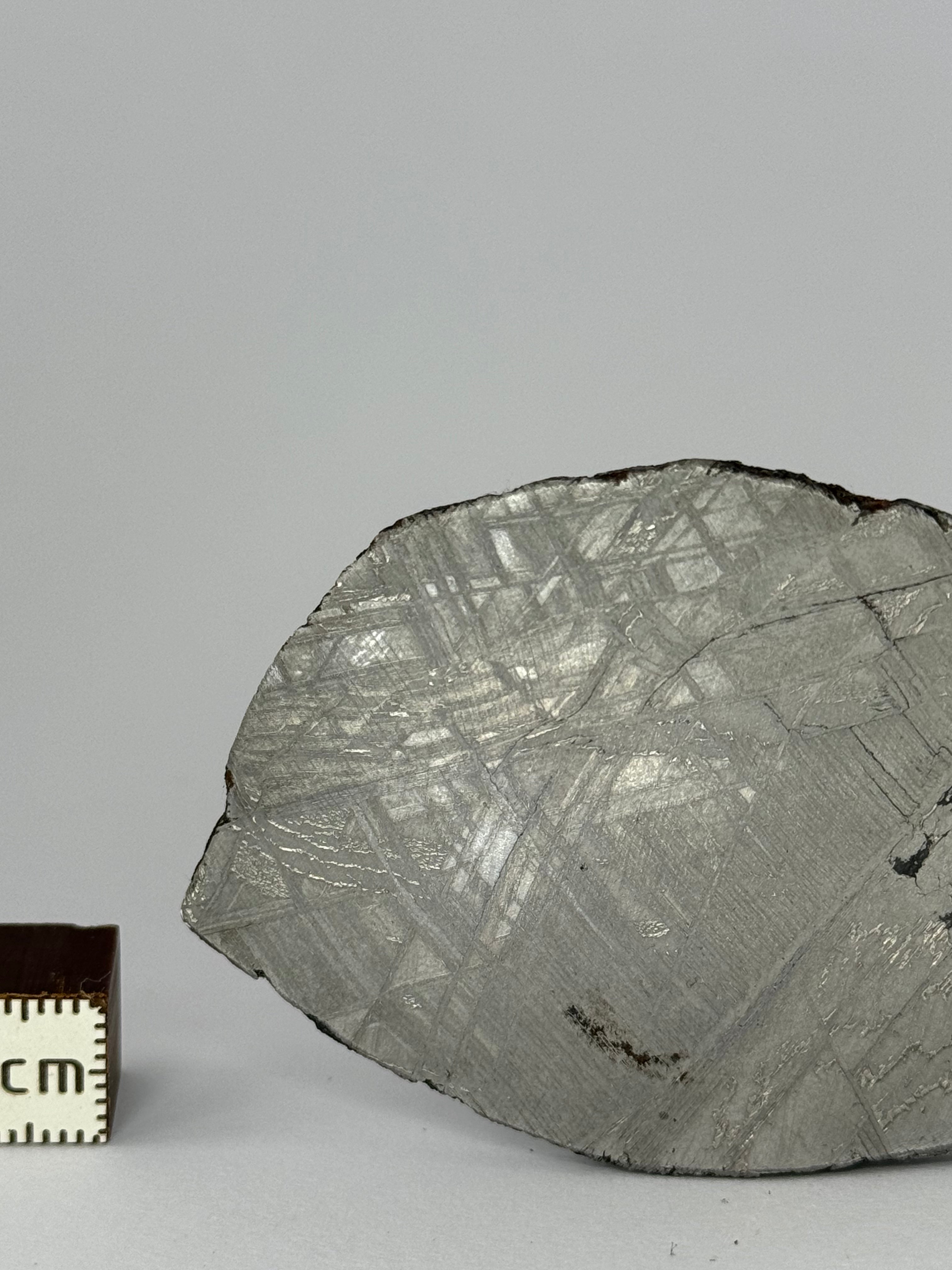 Muonionalusta meteorite, Sweden.  53,93 grams slice.