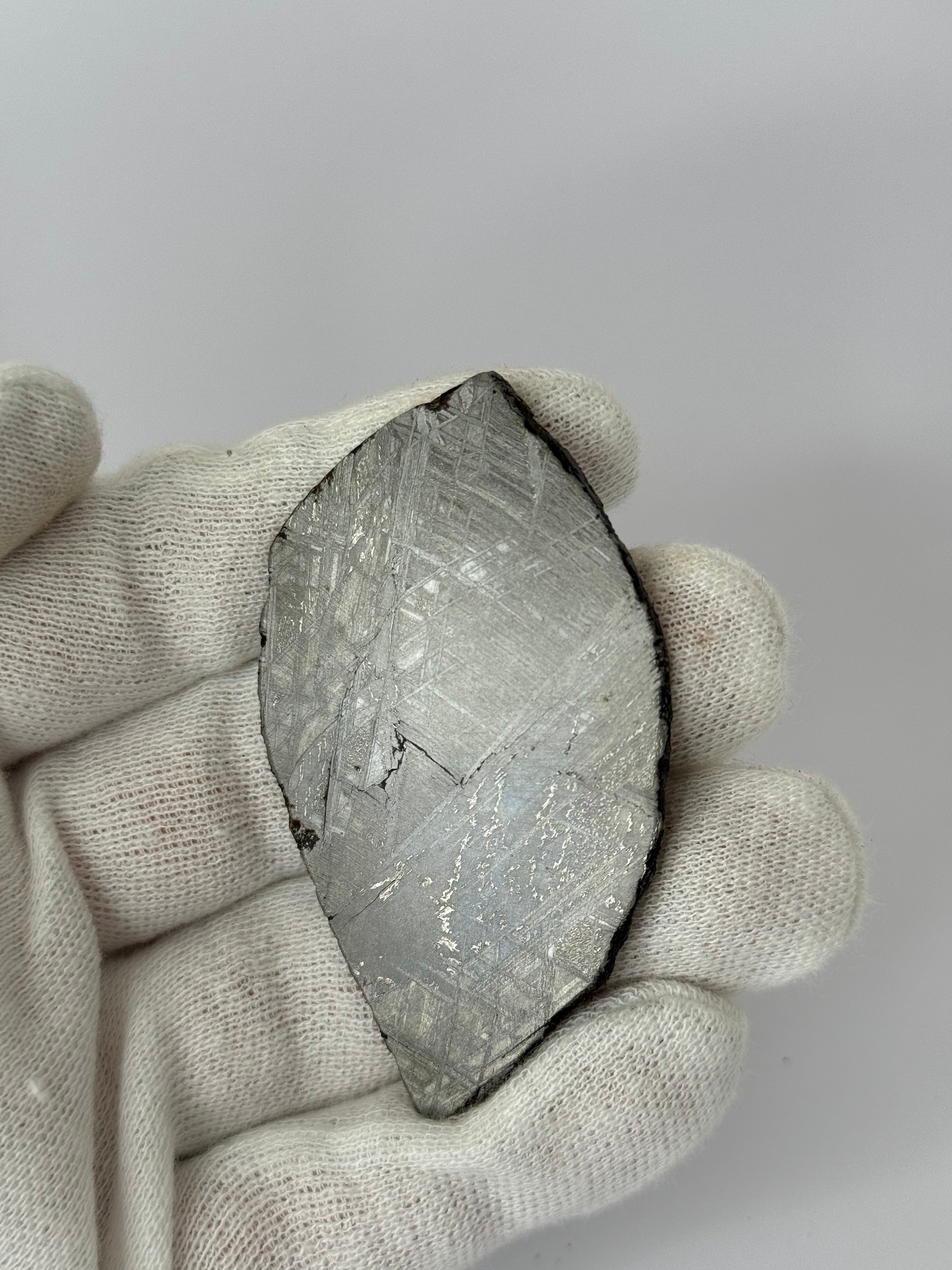 Muonionalusta meteorite, Sweden.  53,93 grams slice.