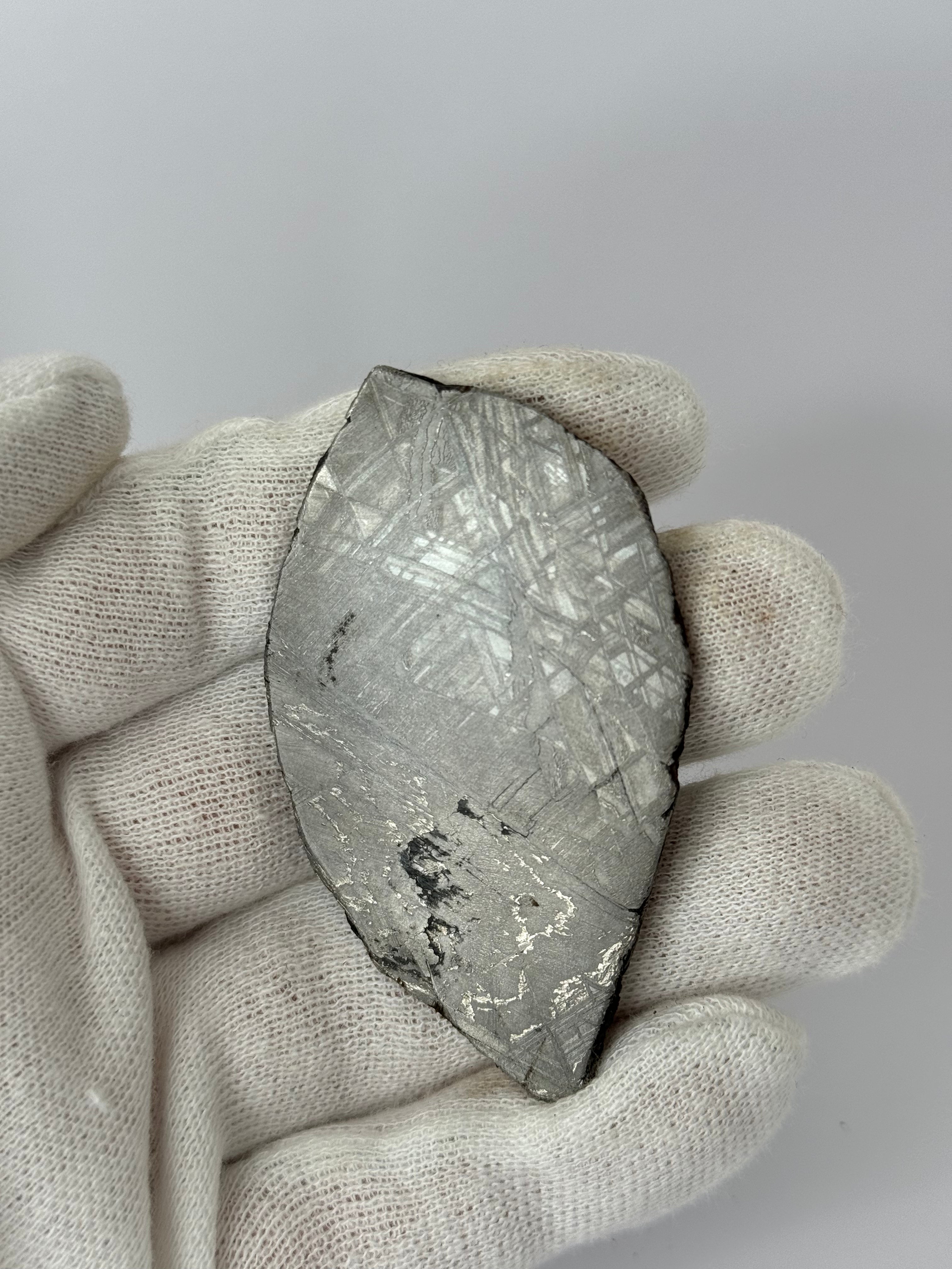 Muonionalusta meteorite, Sweden.  53,93 grams slice.