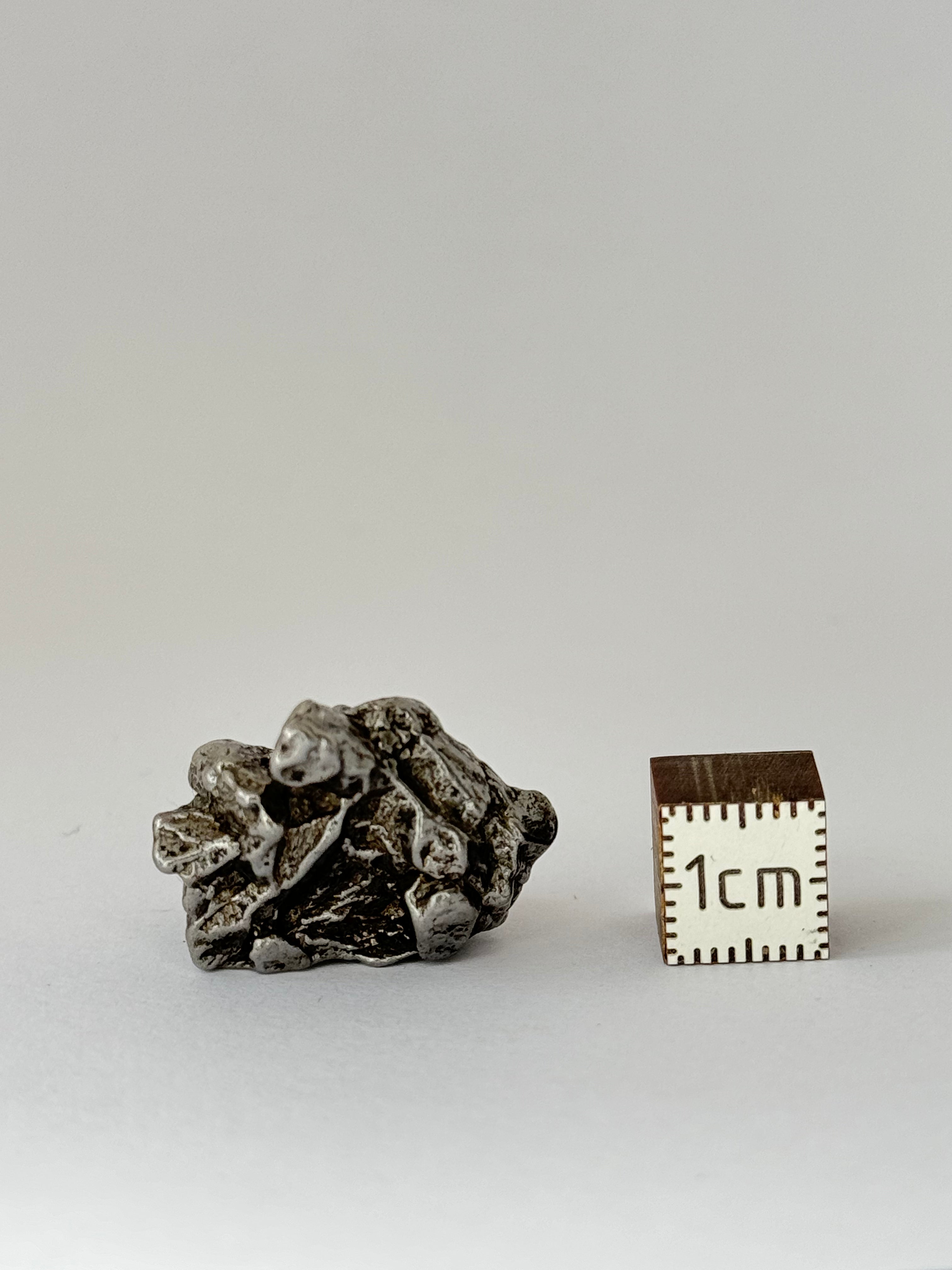 Campo del Cielo, South America. 15,93 grams.