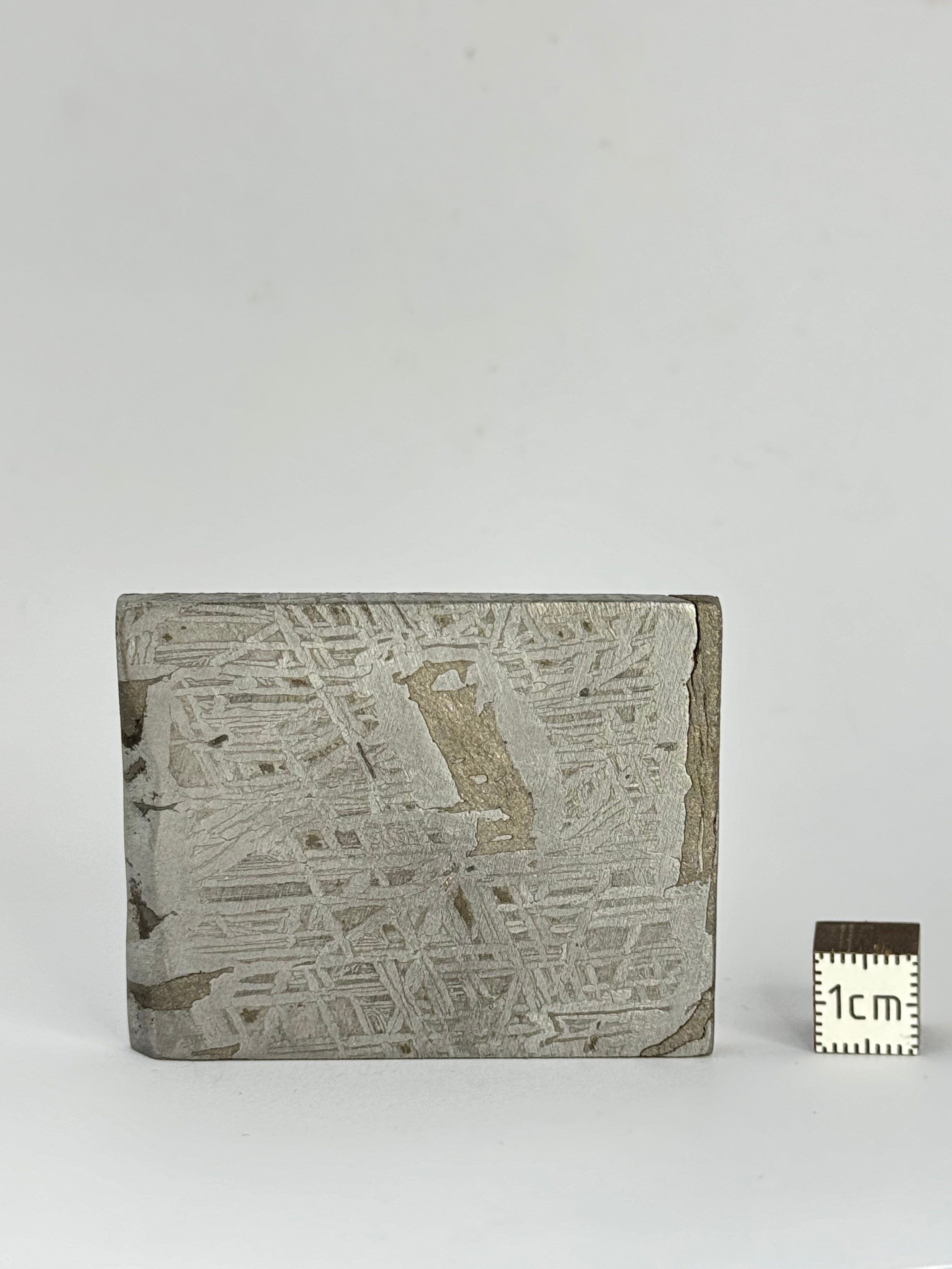 Aletai Meteorite, Gobi Desert, China. 91,86 grams.