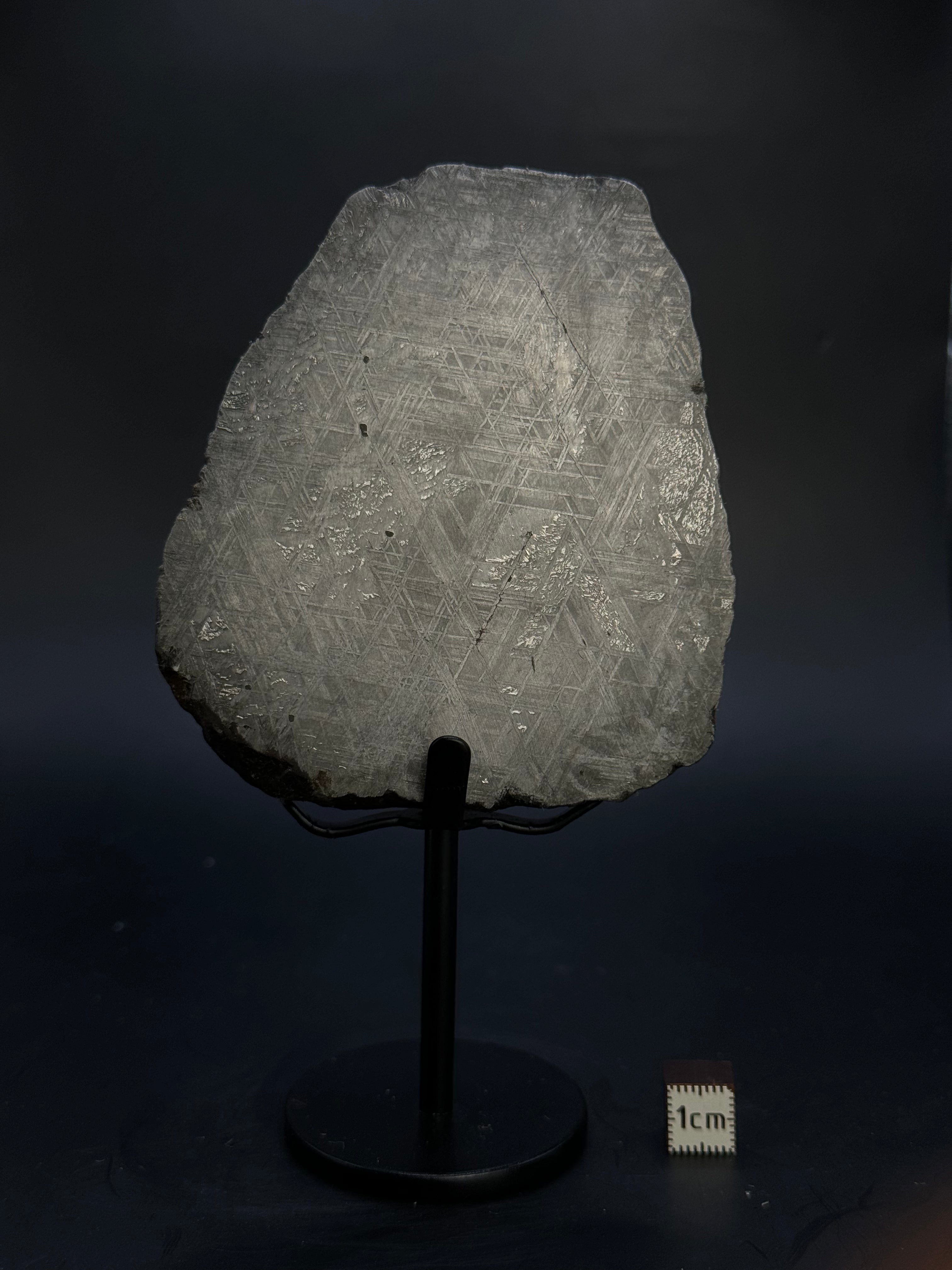 MUONIONALUSTA METEORITE, SWEDEN. 623 GRAMS END-CUT