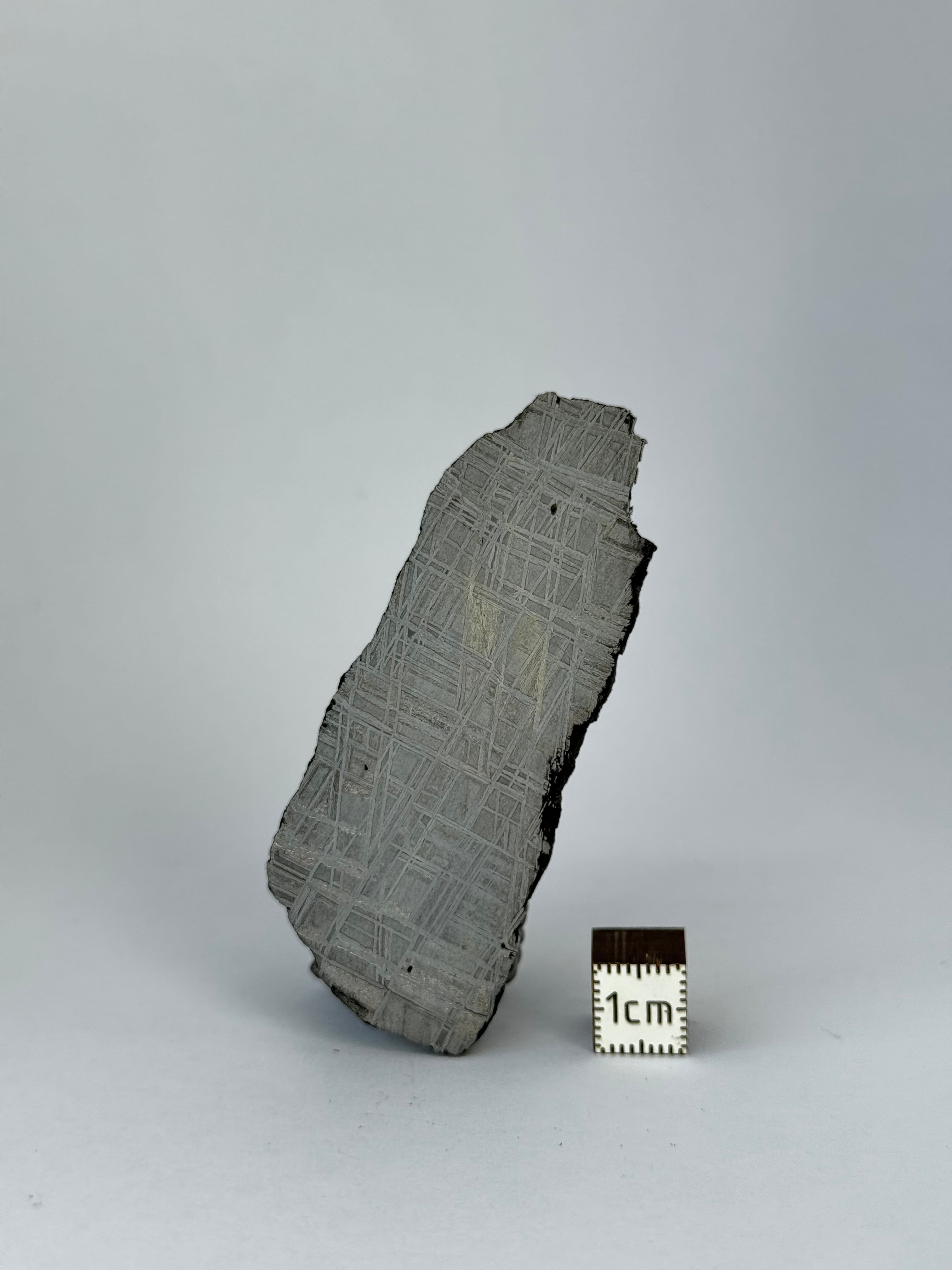 Muonionalusta meteorite, Sweden. 33,16 grams slice.