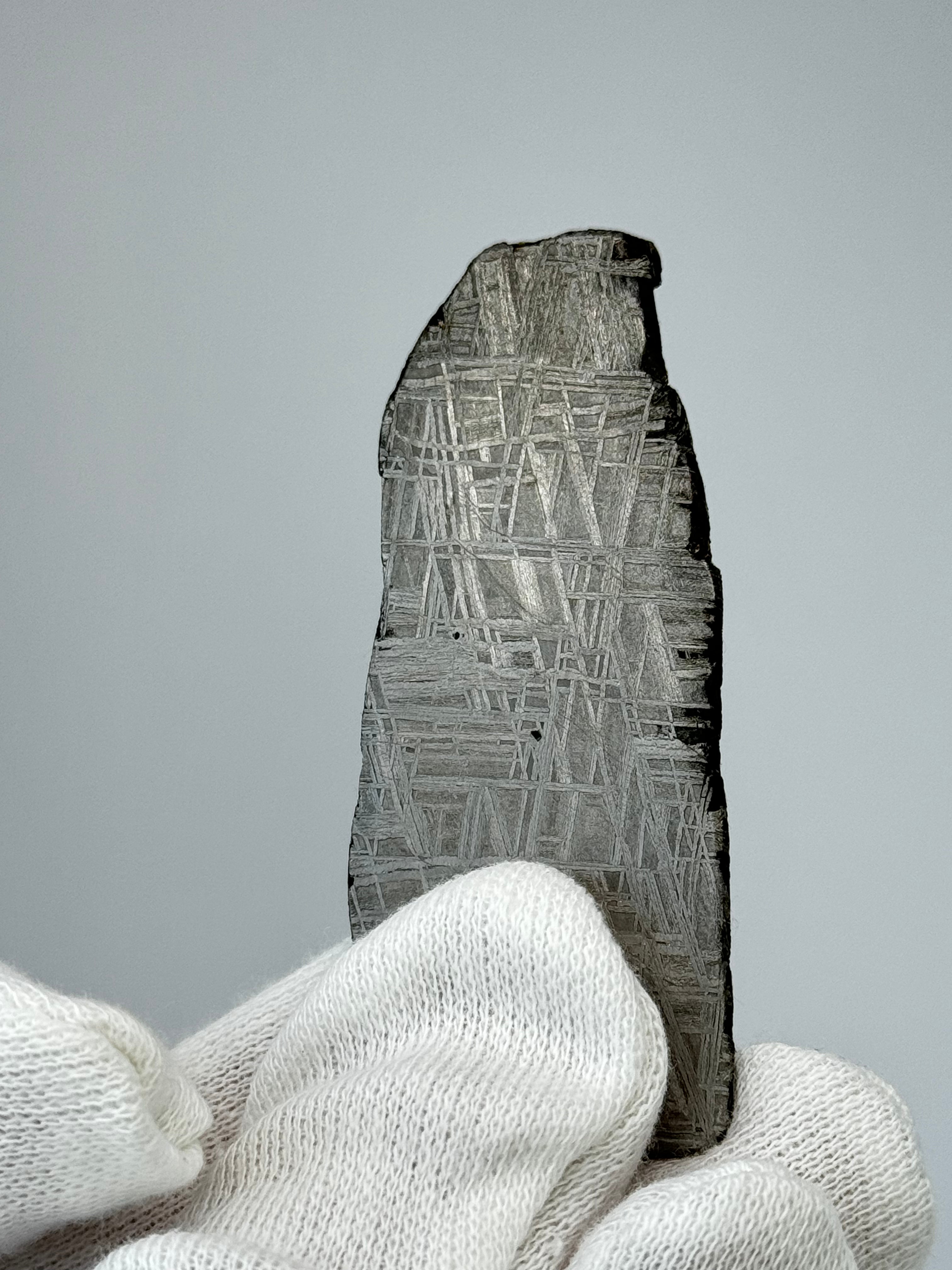 Muonionalusta meteorite, Sweden. 32,37 grams.
