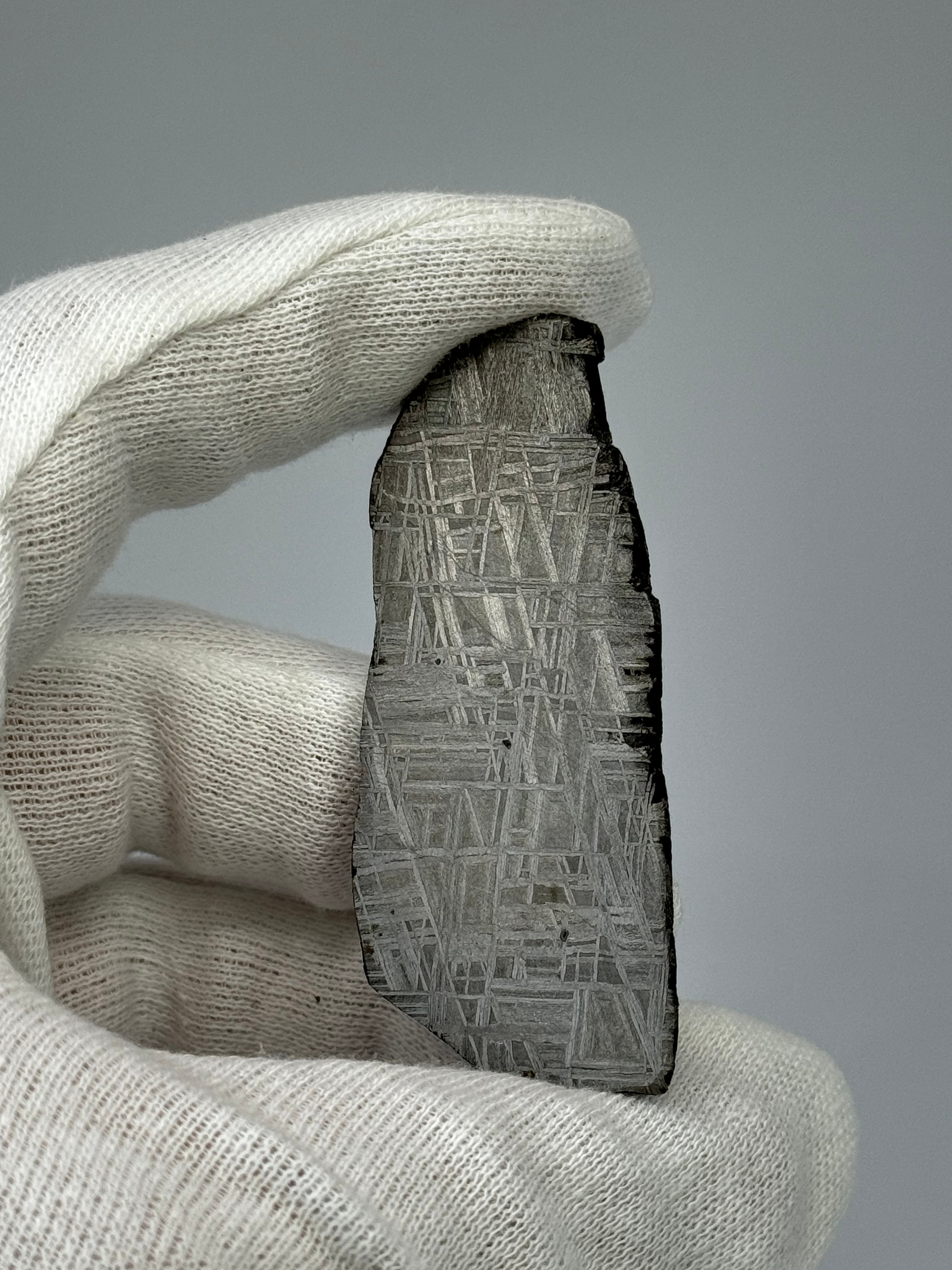 Muonionalusta meteorite, Sweden. 32,37 grams.