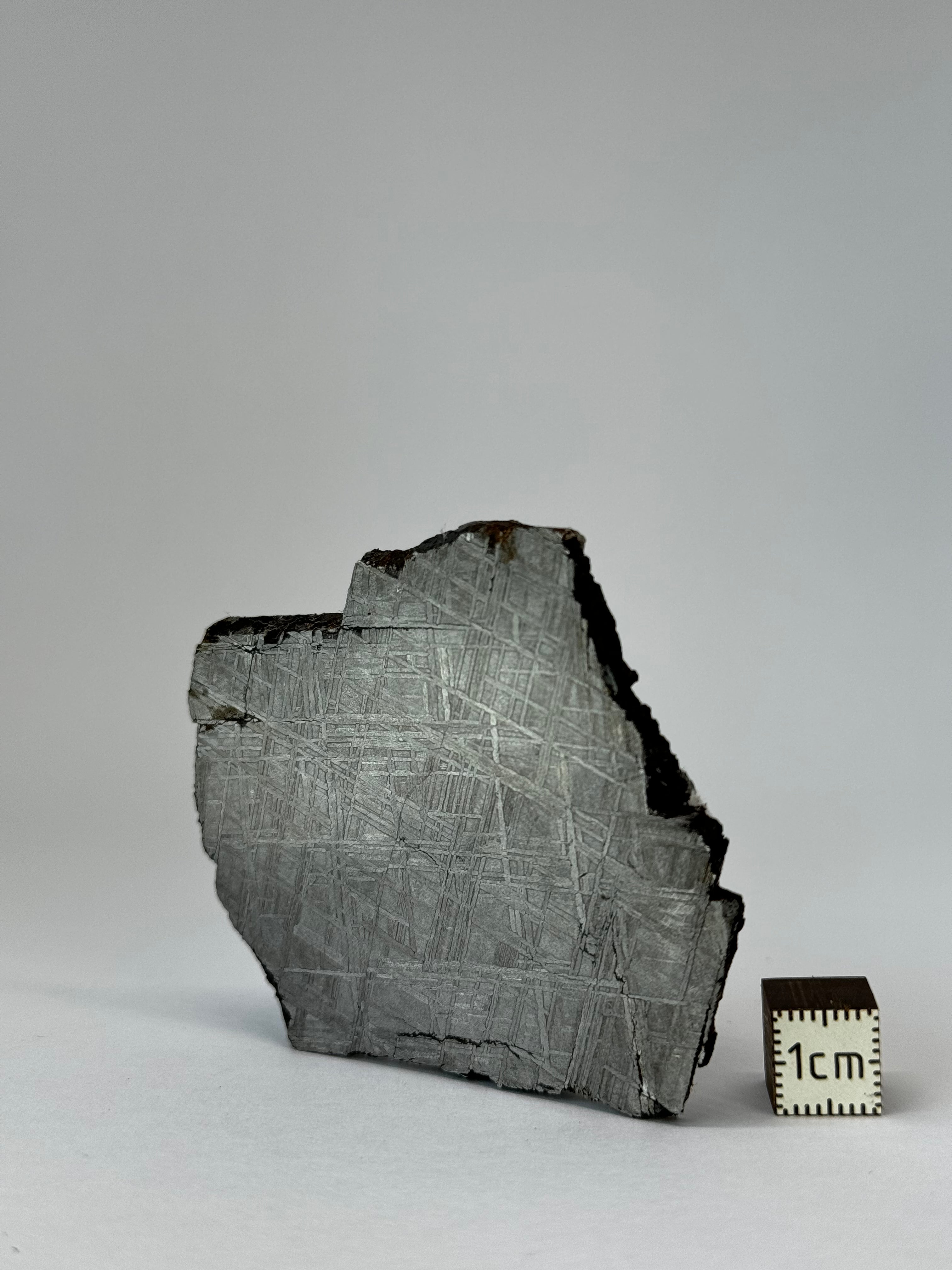 Muonionalusta Meteorite, Sweden. 66,64 grams slice.